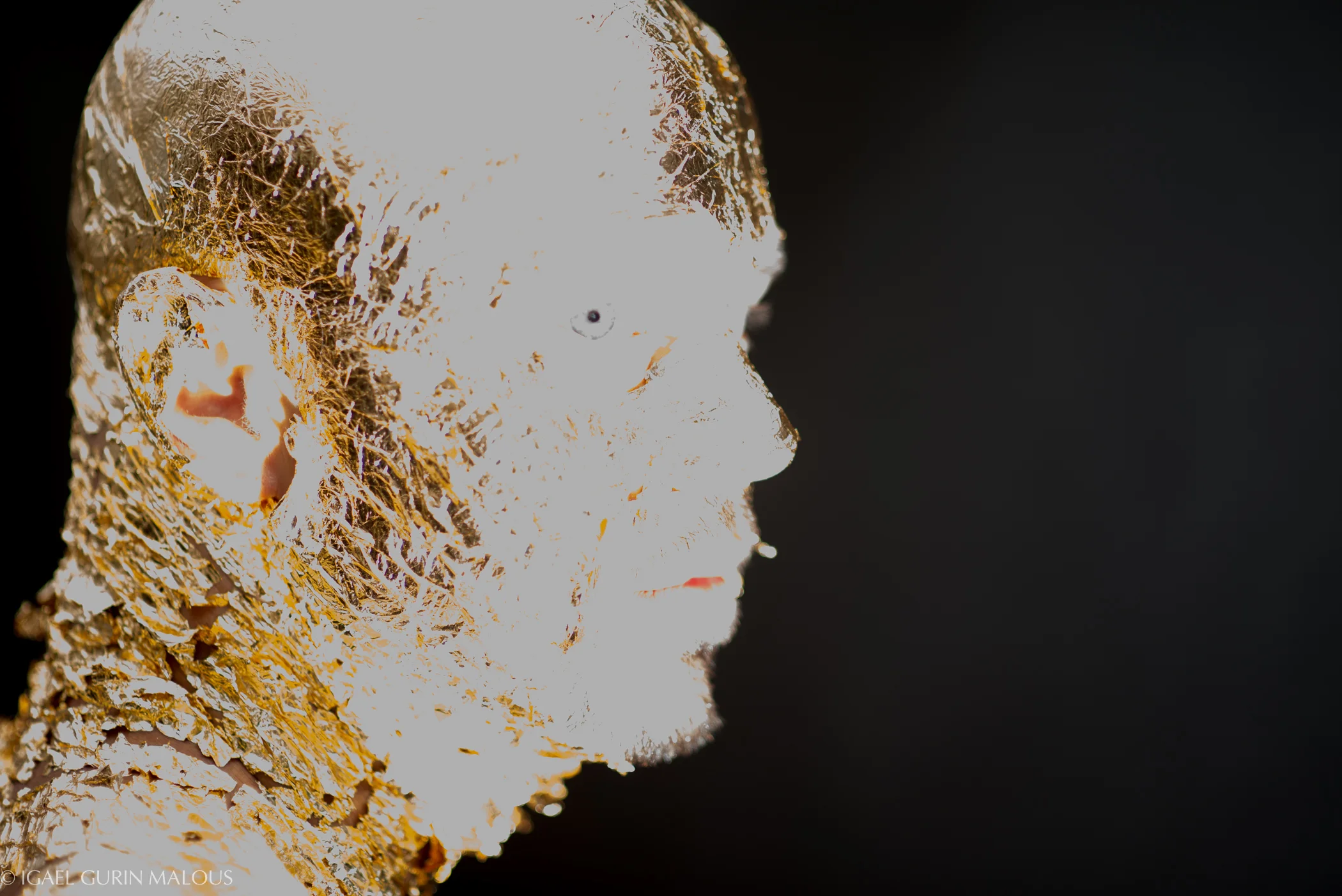 Brad_Gold_Sep_14-8.jpg
