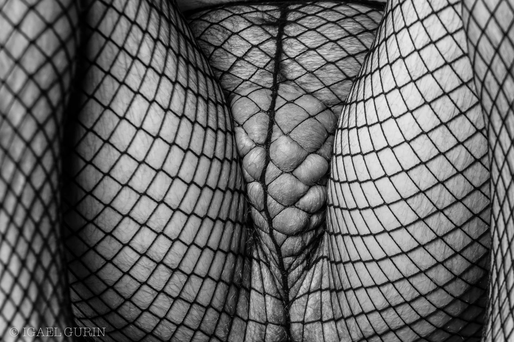 Bry_Fishnet-1.jpg