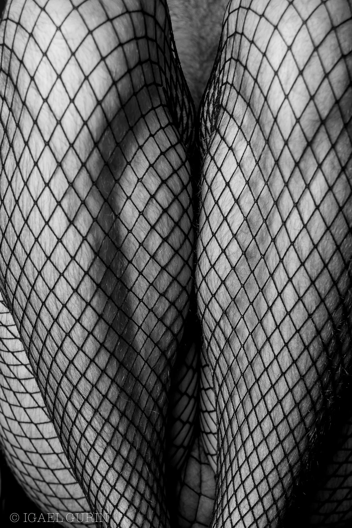 Bry_Fishnet-5.jpg