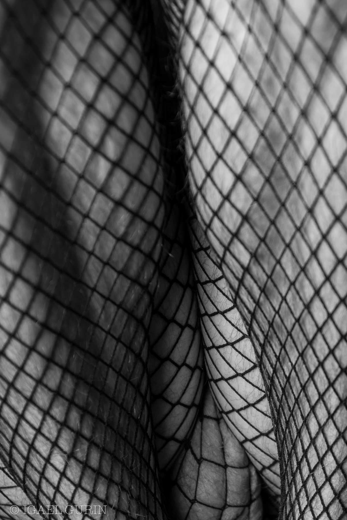 Bry_Fishnet-7.jpg
