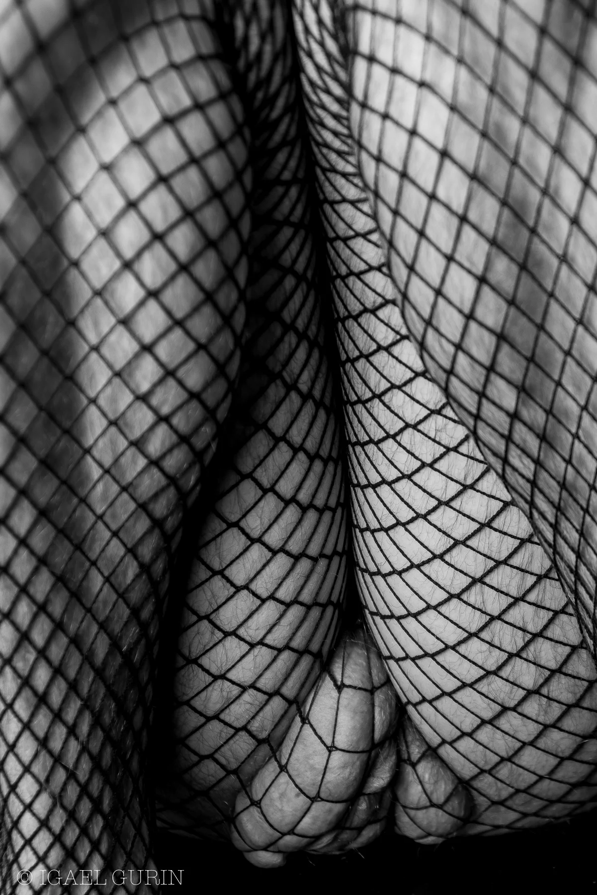 Bry_Fishnet-9.jpg