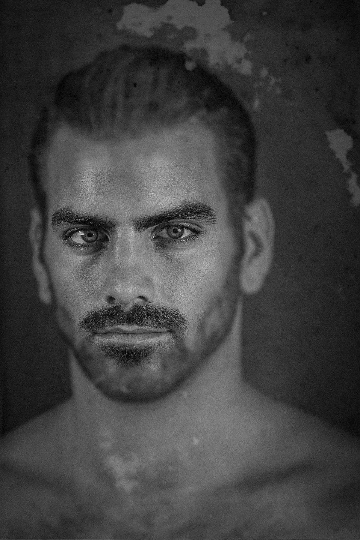 Nyle-1.jpg