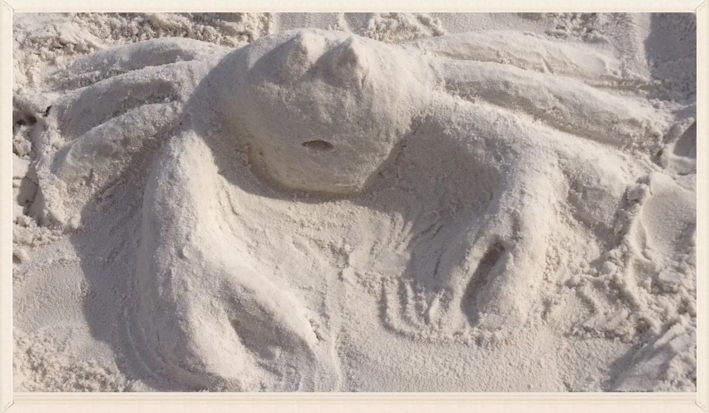 My wife's white sand crab sculpture