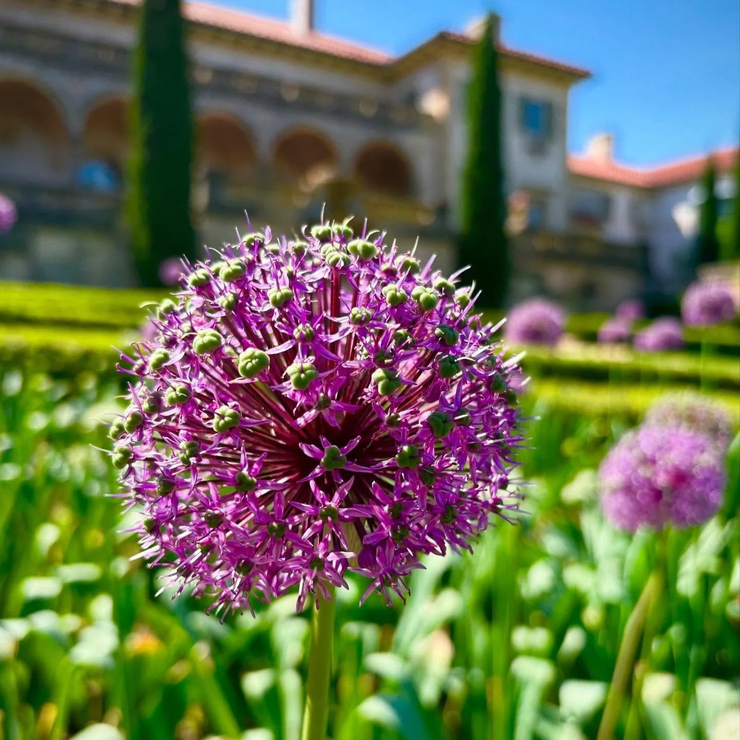 Philbrook Wine Club: Sippin' in the Sunshine