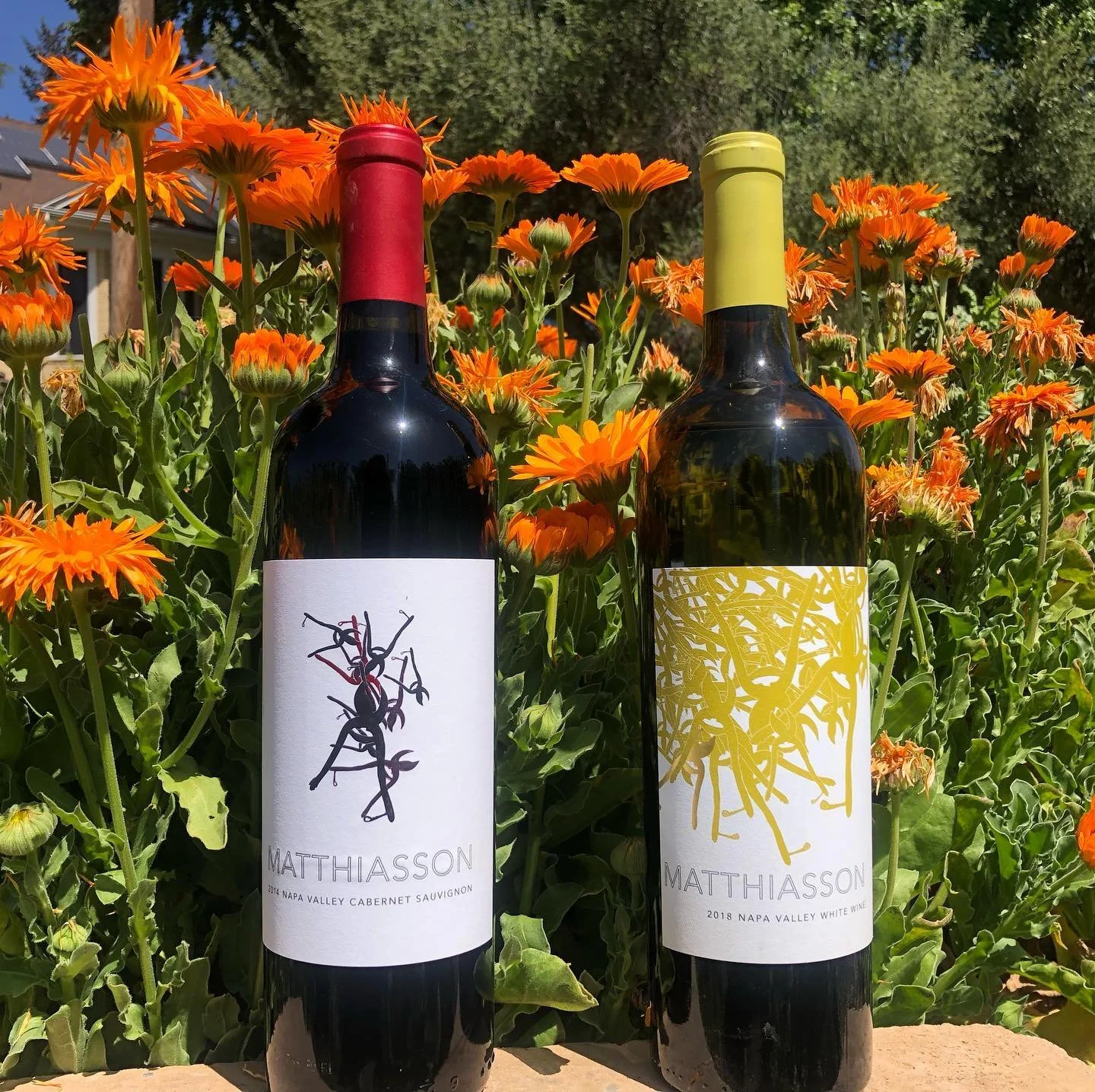 Matthiasson Wine Tasting at Ti Amo Downtown