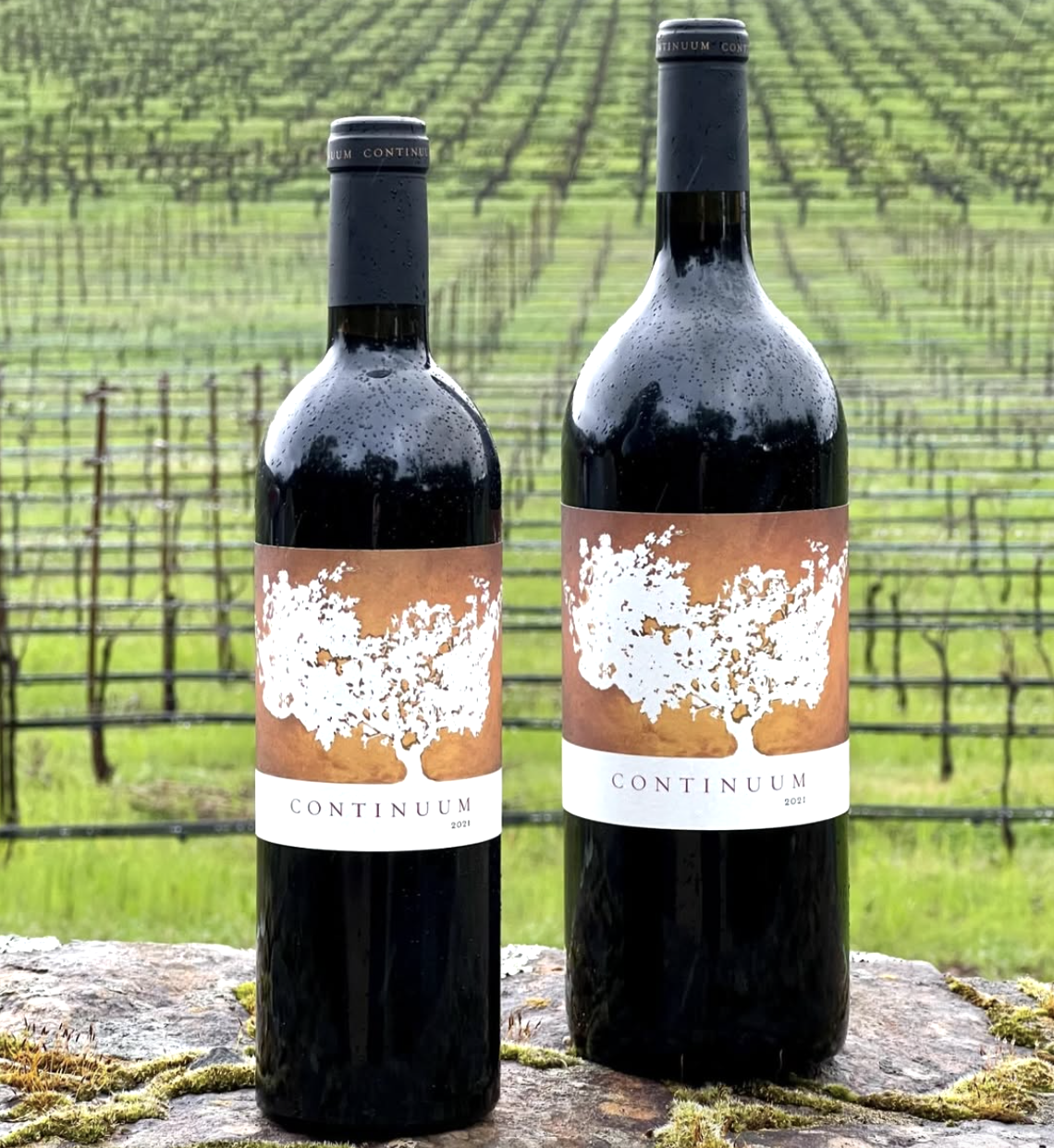 Continuum Estate Master Class &amp; Social Hour at Polo Grill