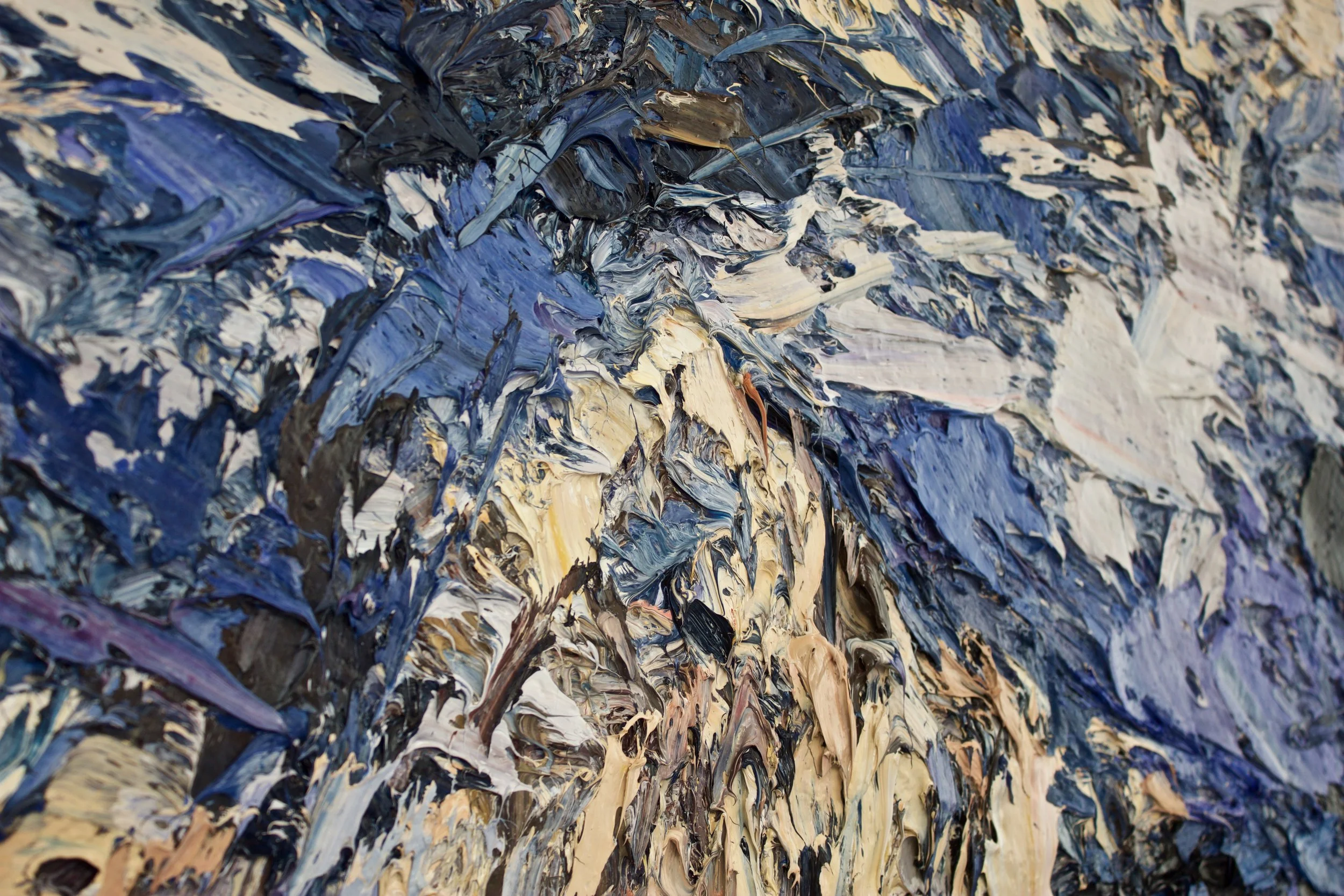 Detail: Darren Mountains, Fiordland