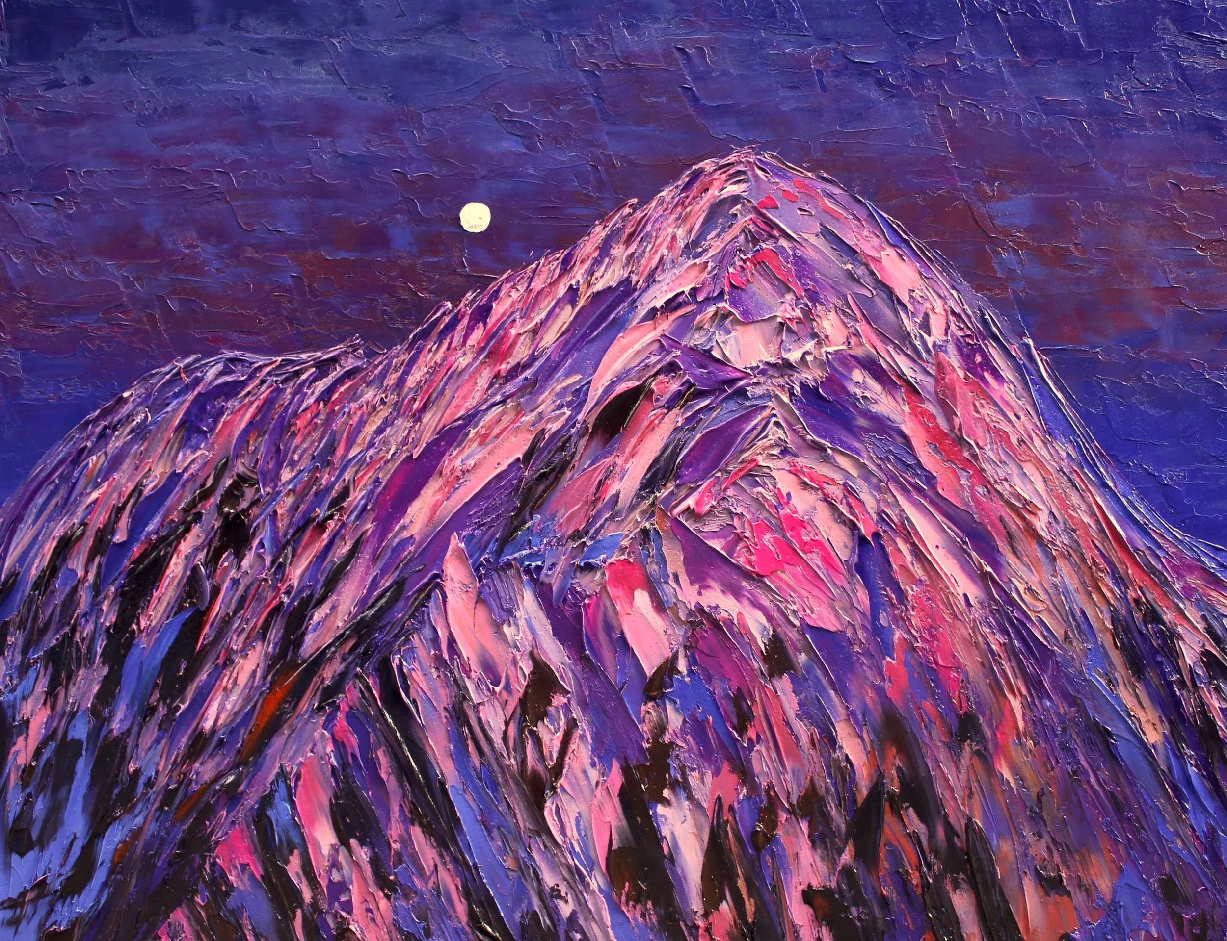 Mt Tasman And Moon