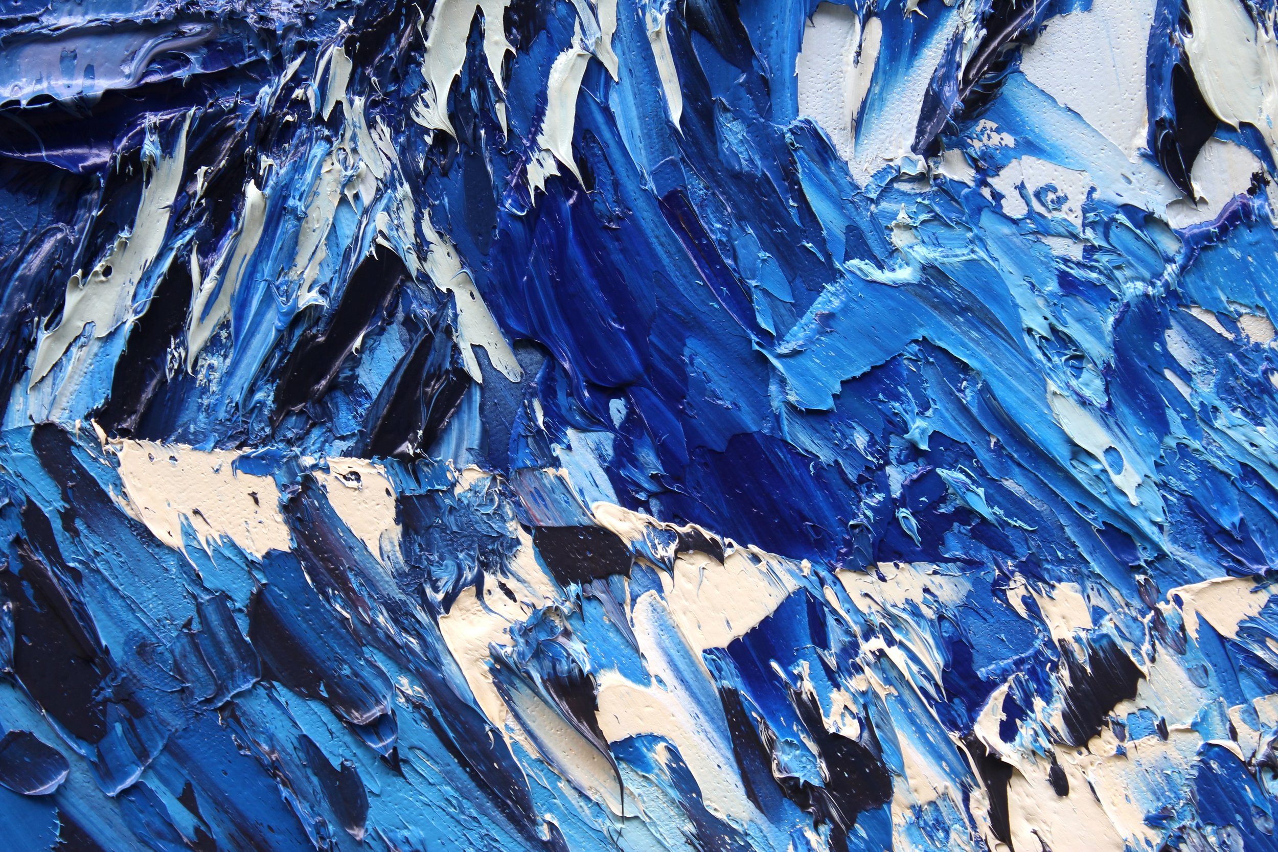 Detail: Mt Sefton And The Douglas Neves