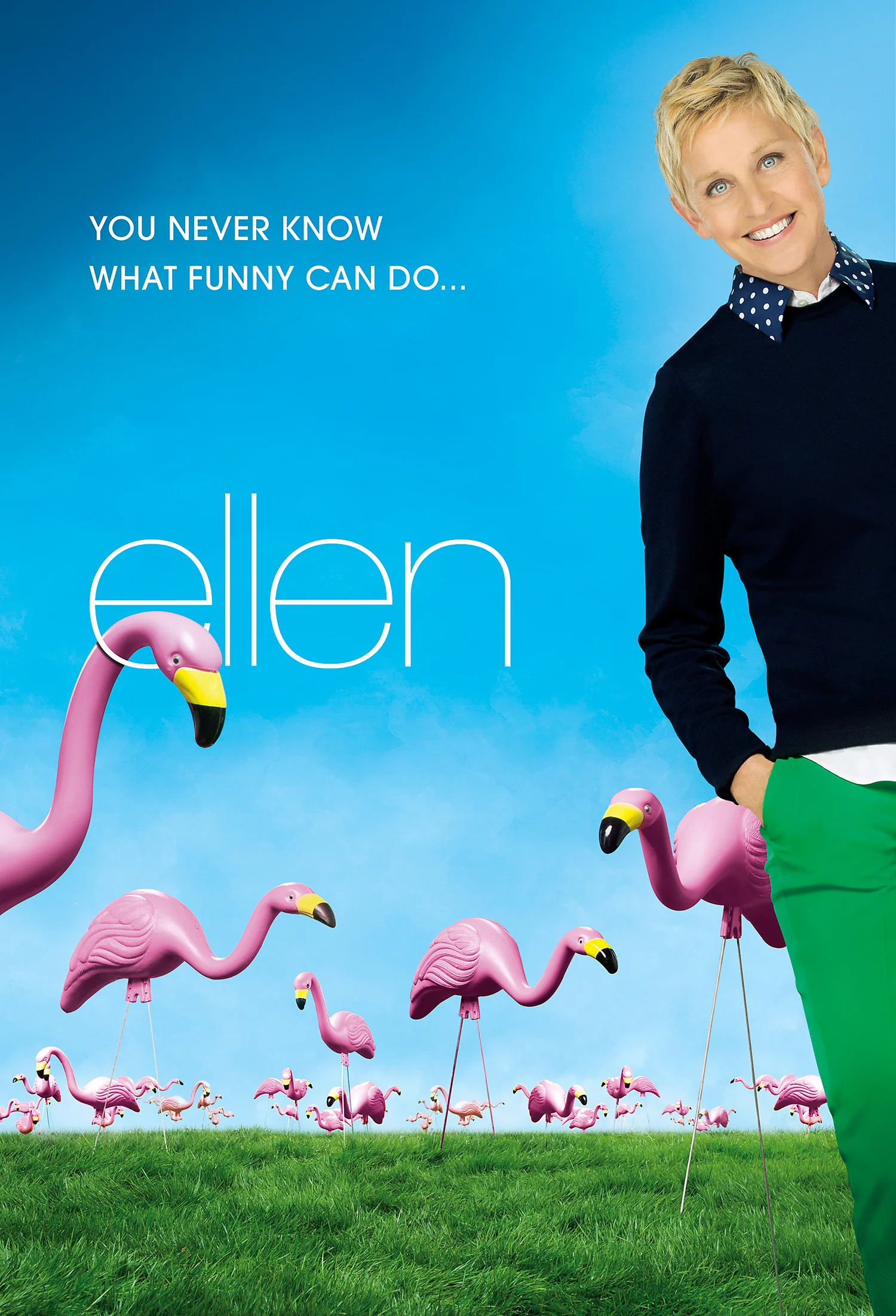 ellen_flamingos_ad2.jpg