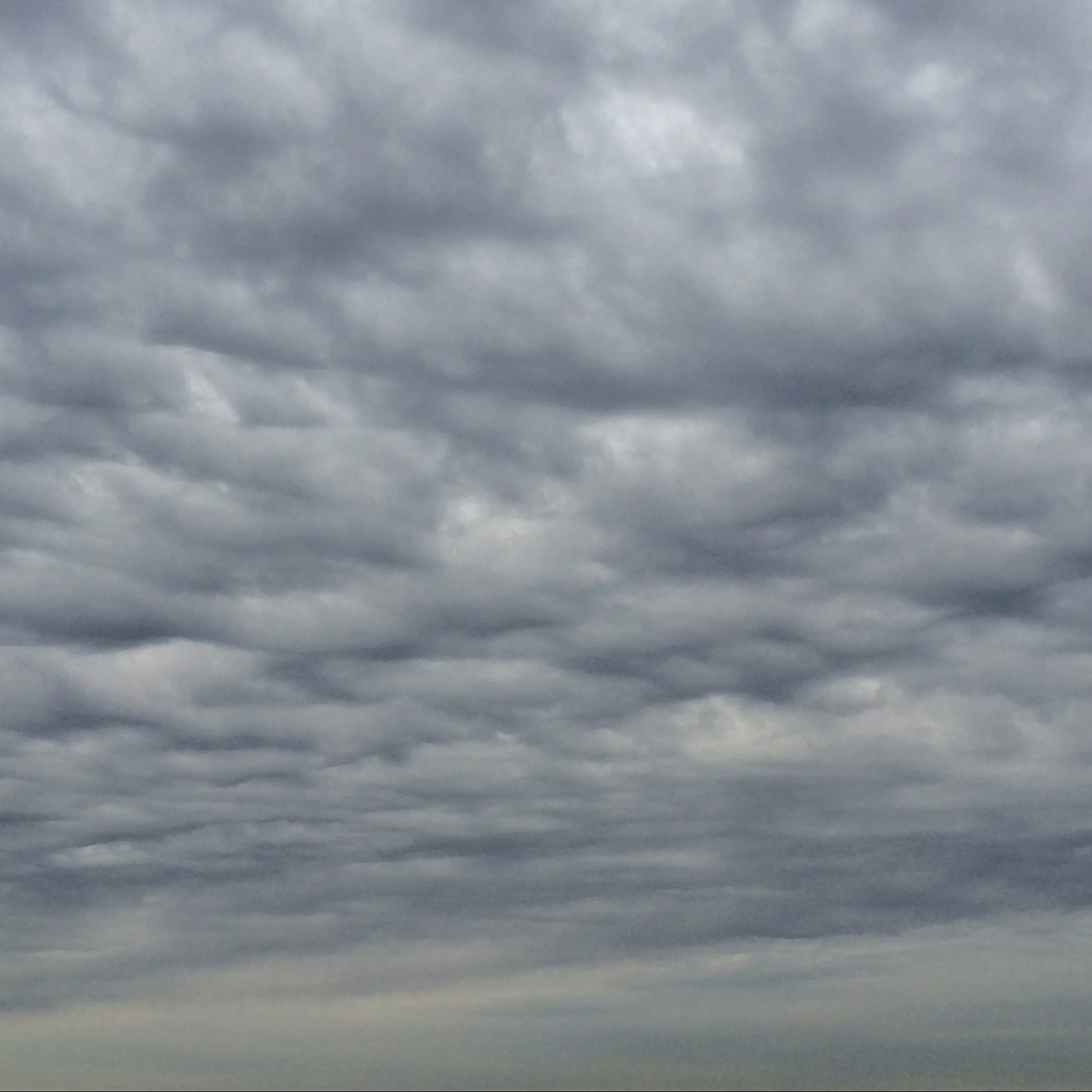 SKY_7.jpg
