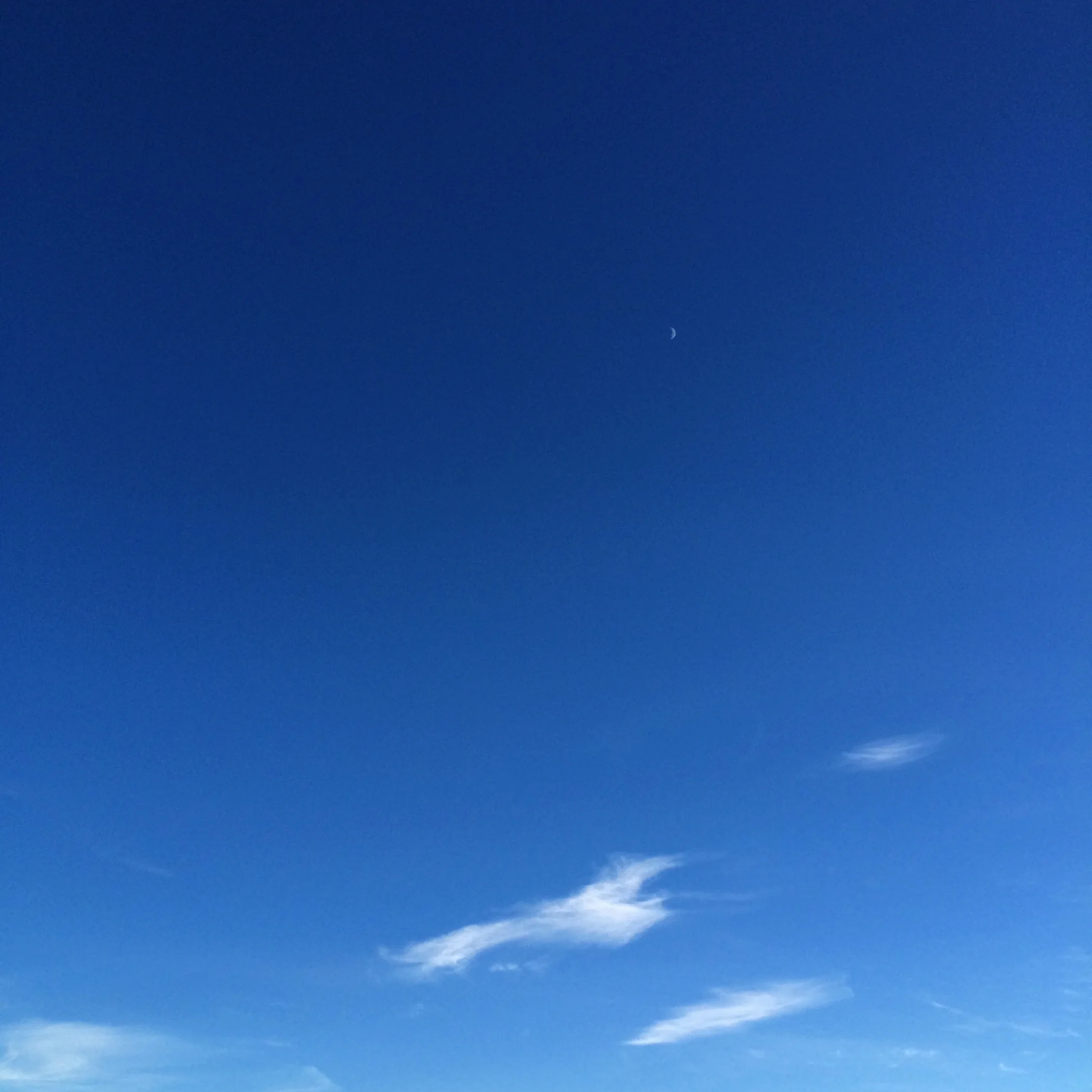 SKY_50.jpg