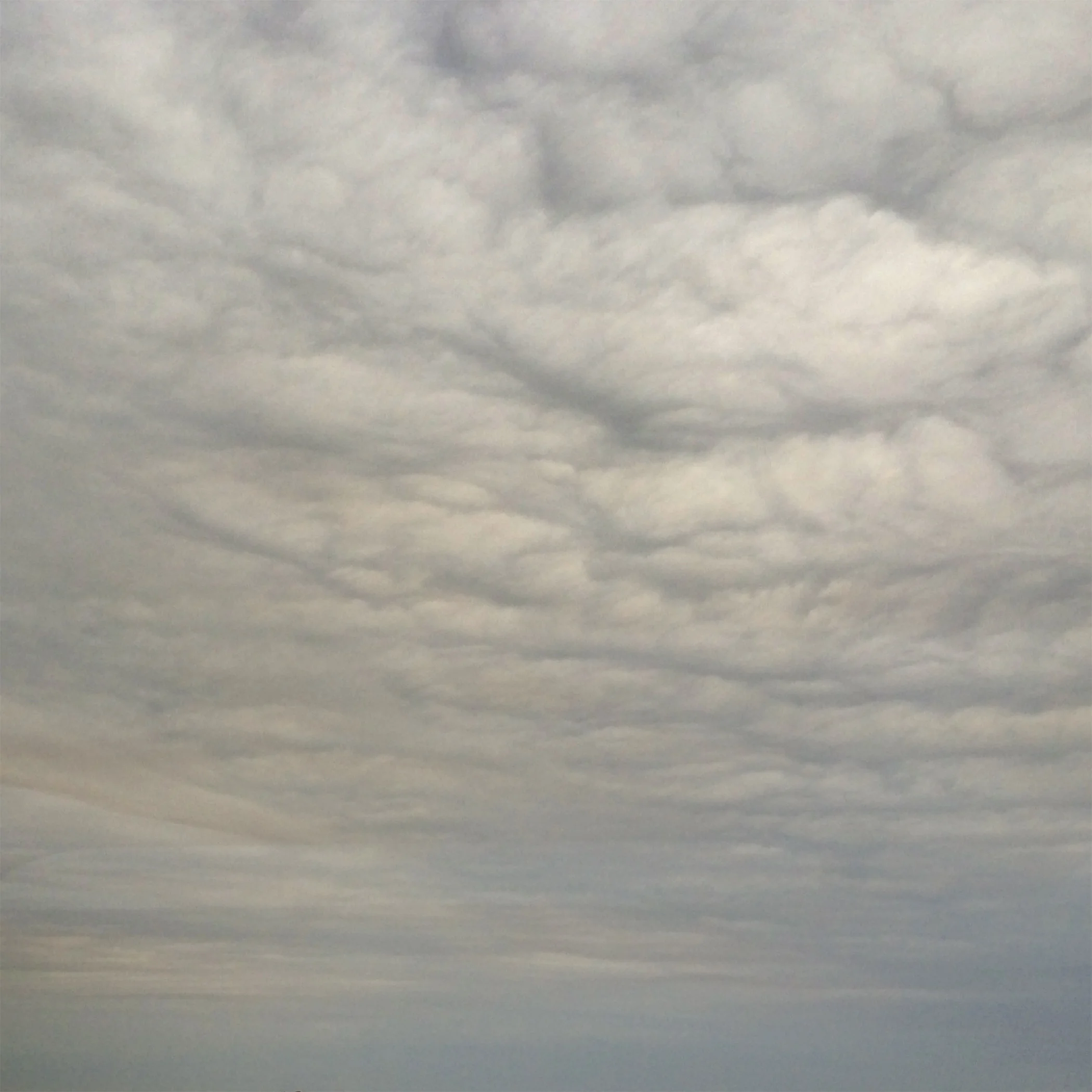 SKY_61.jpg