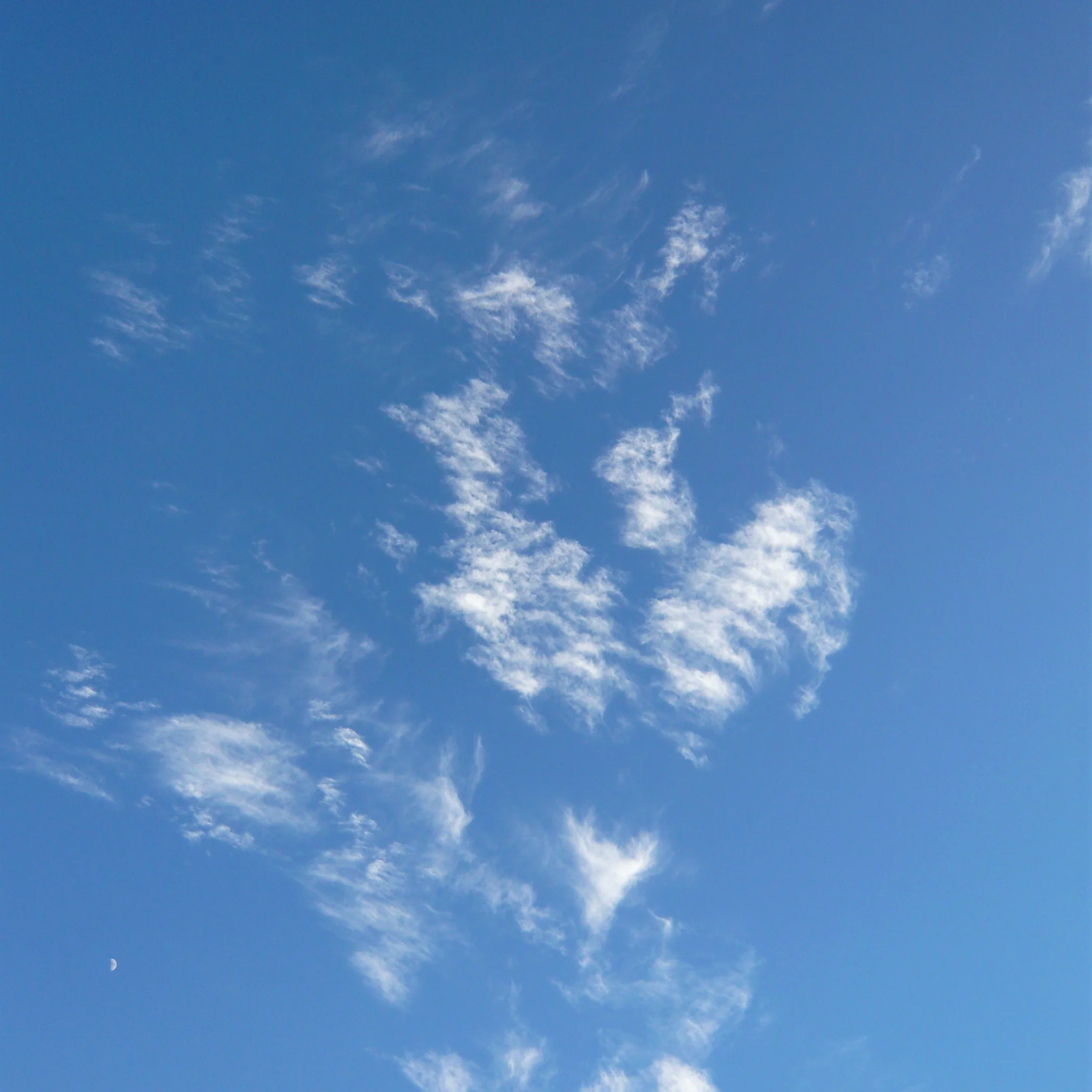 SKY_84.jpg