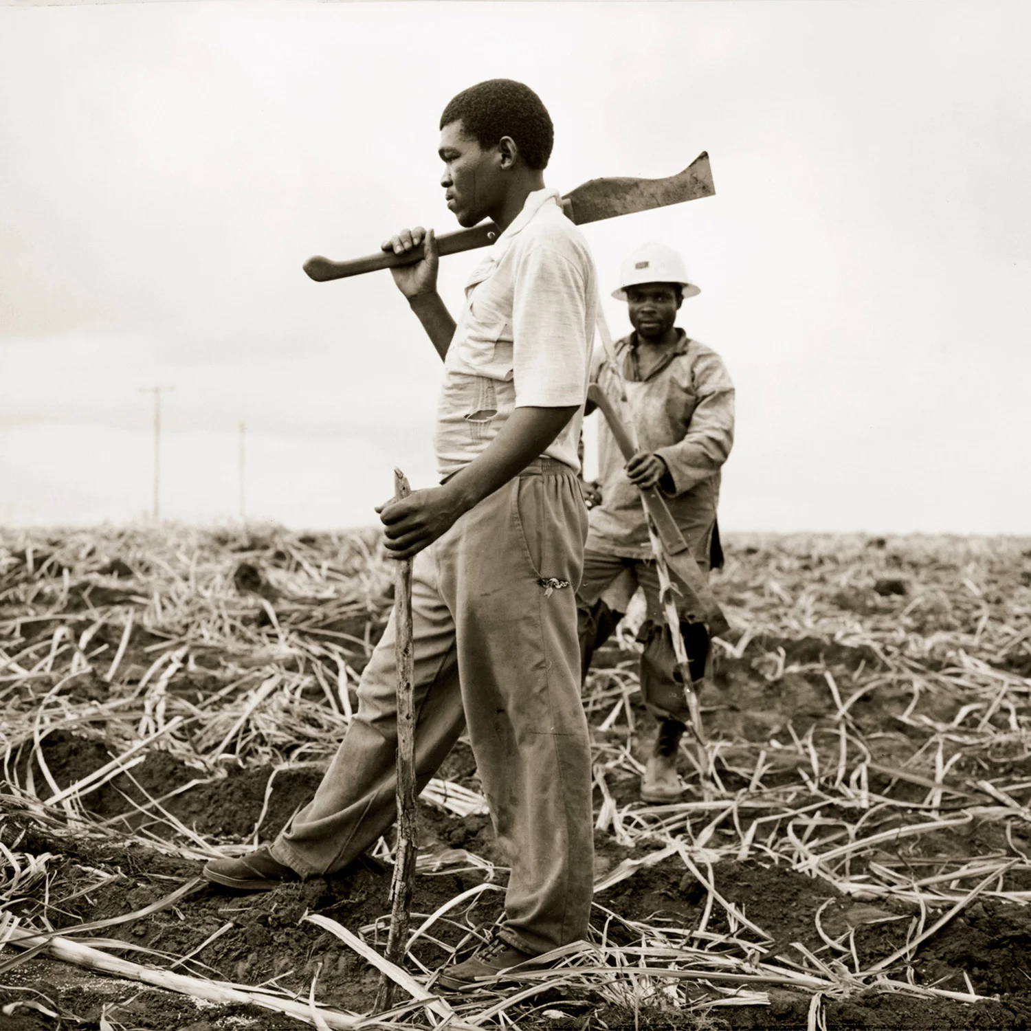africamachete.jpg