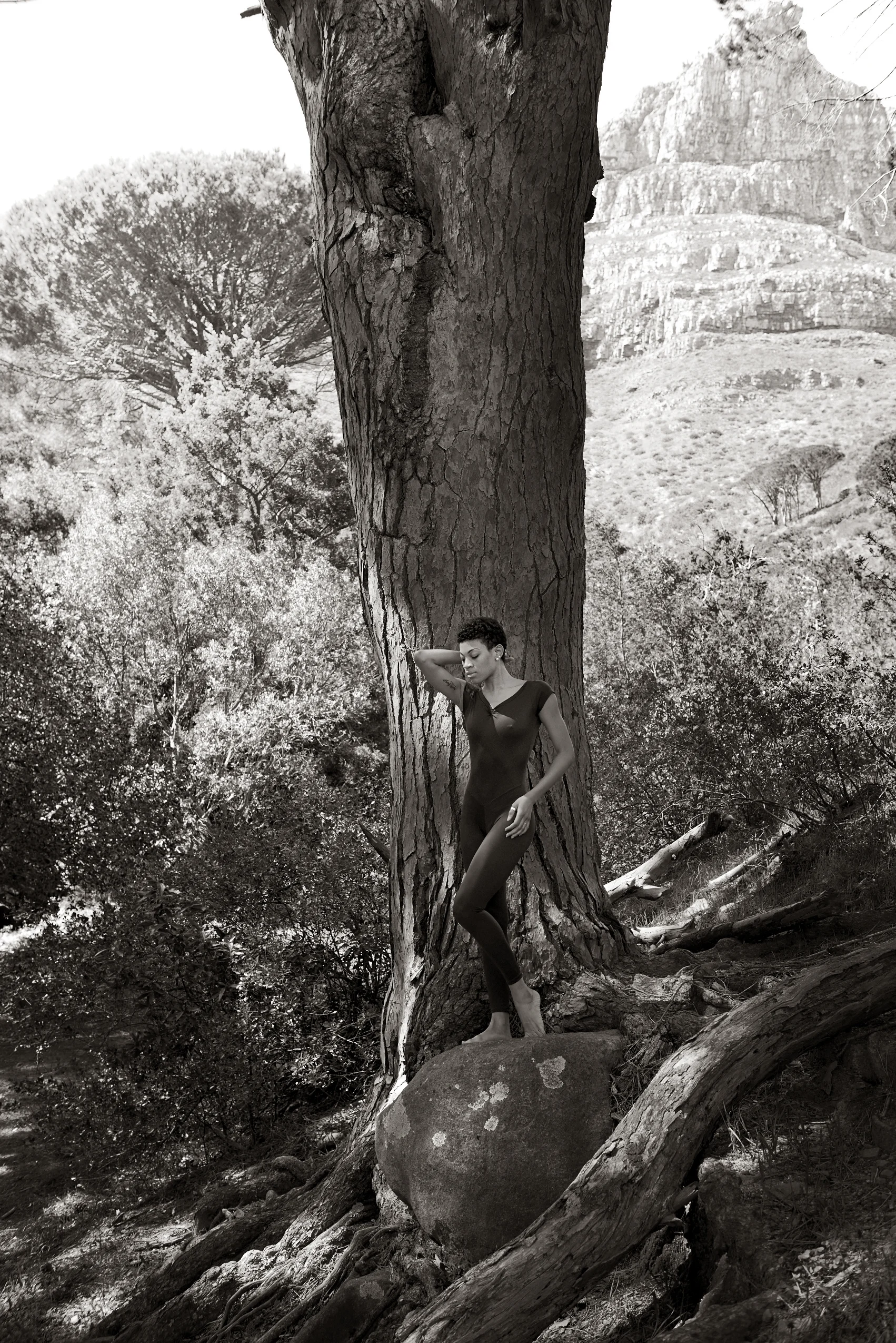 Ghrai_tree_B&W.jpg