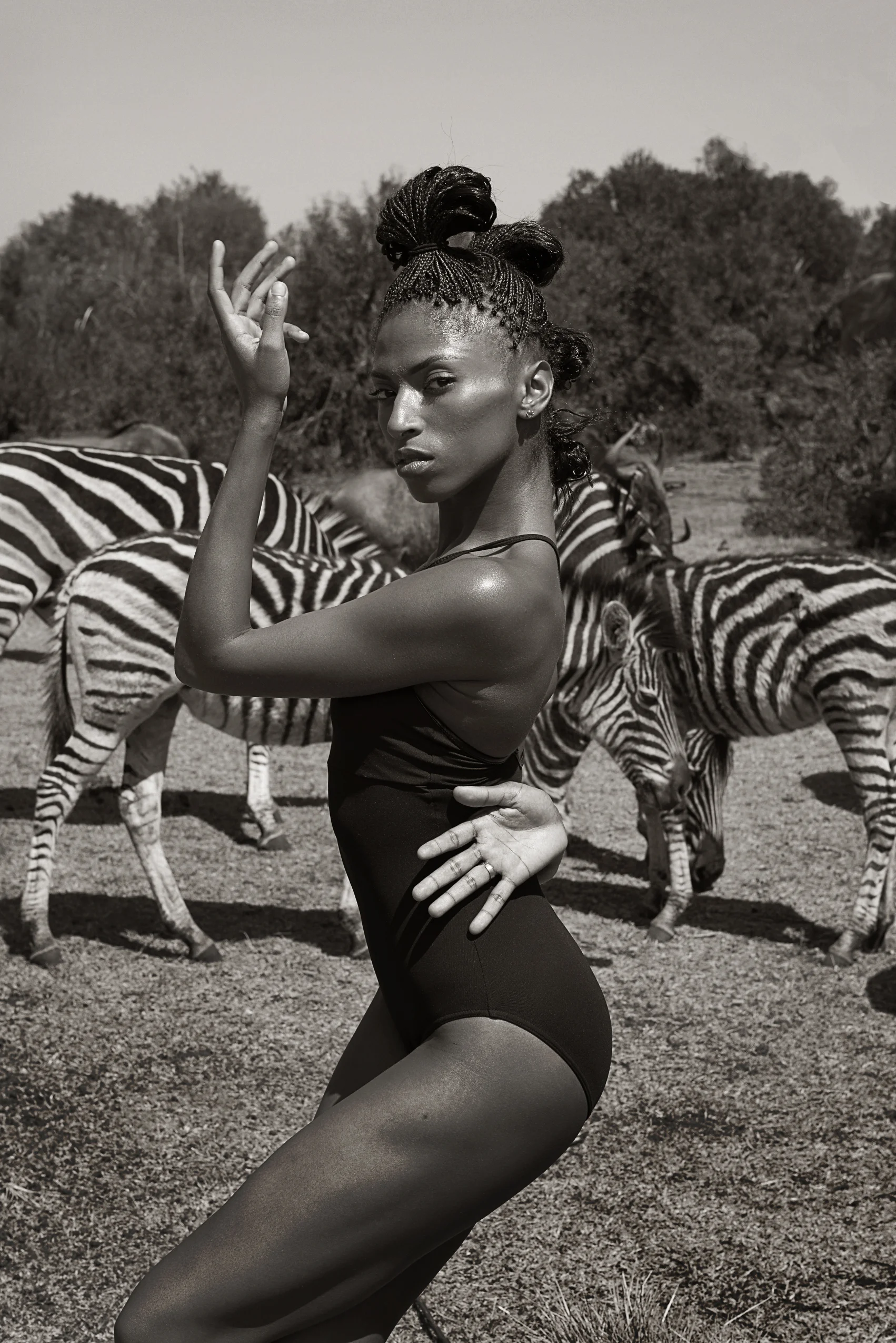 Jackie_Zebra.jpg