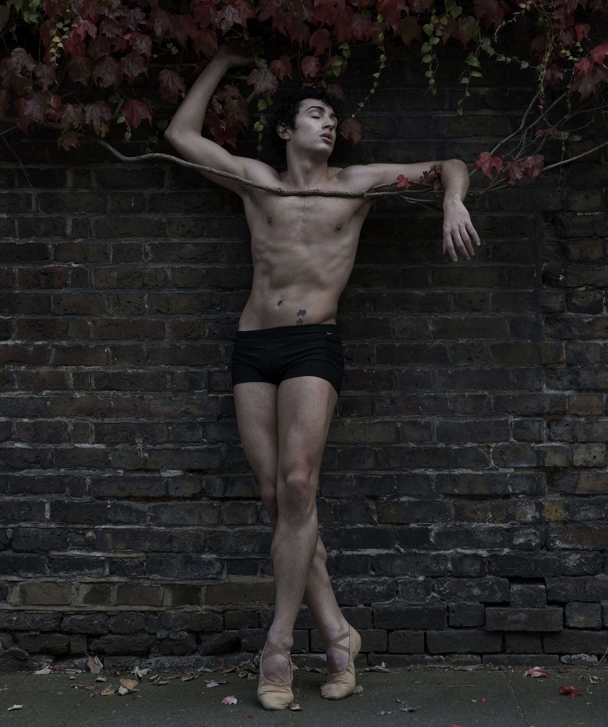 ailey_willy.jpg