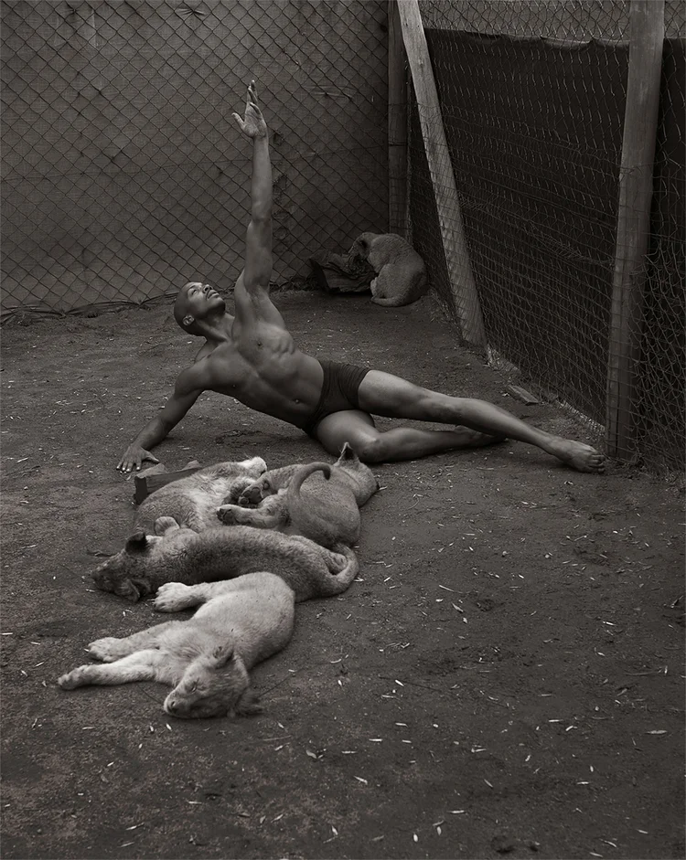 ailey_cubs.jpg