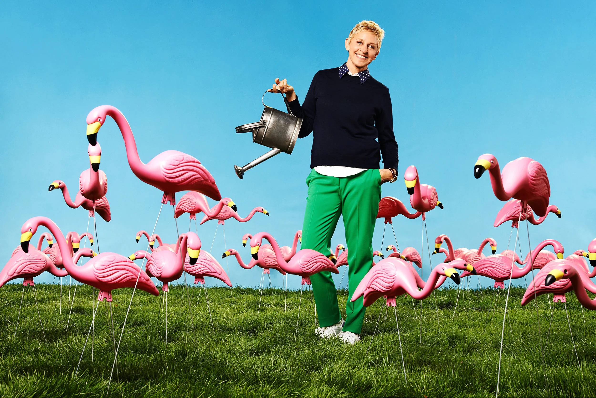 ellen_flamingos+.jpg