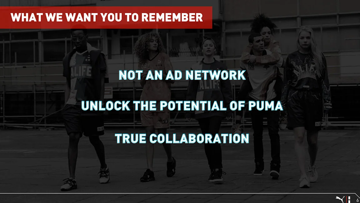 chweb_puma07.jpg