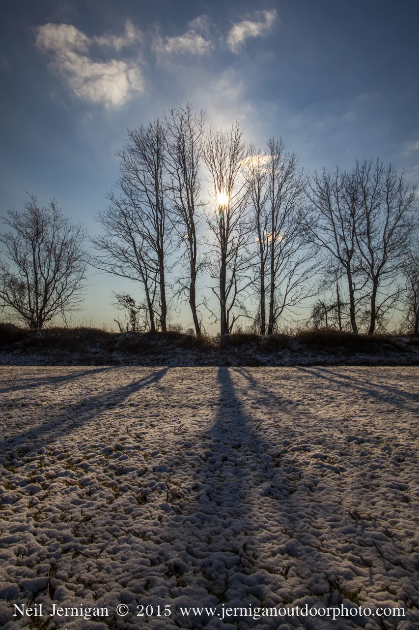 Early morning sun. I love the long shadows the rising & setting sun creates.