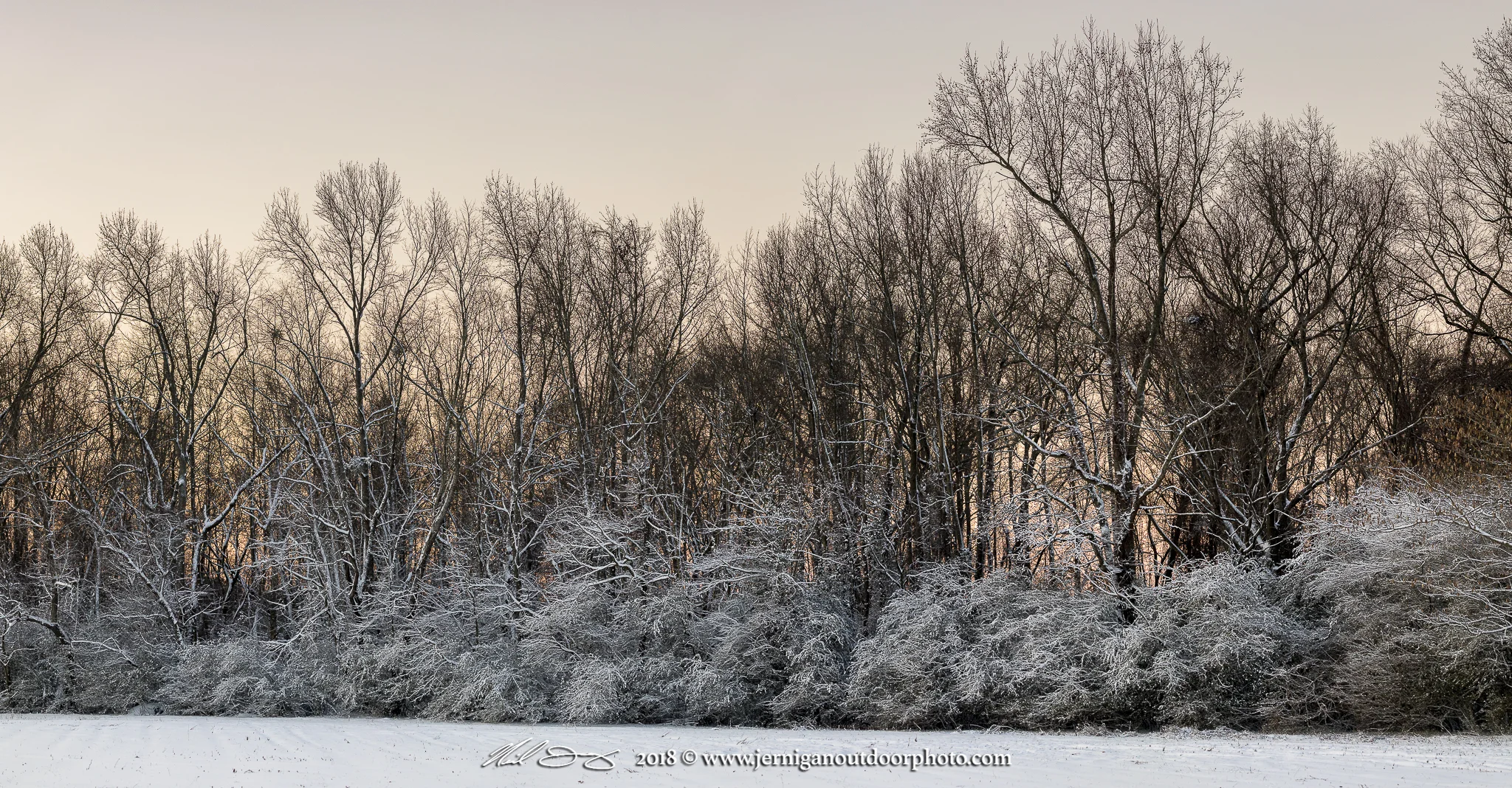 _A4A8469-Pano.jpg