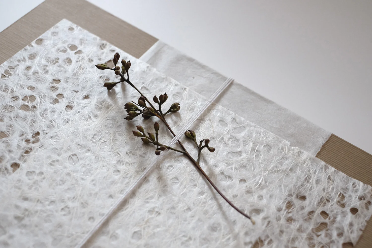 Giftwrap2.jpg