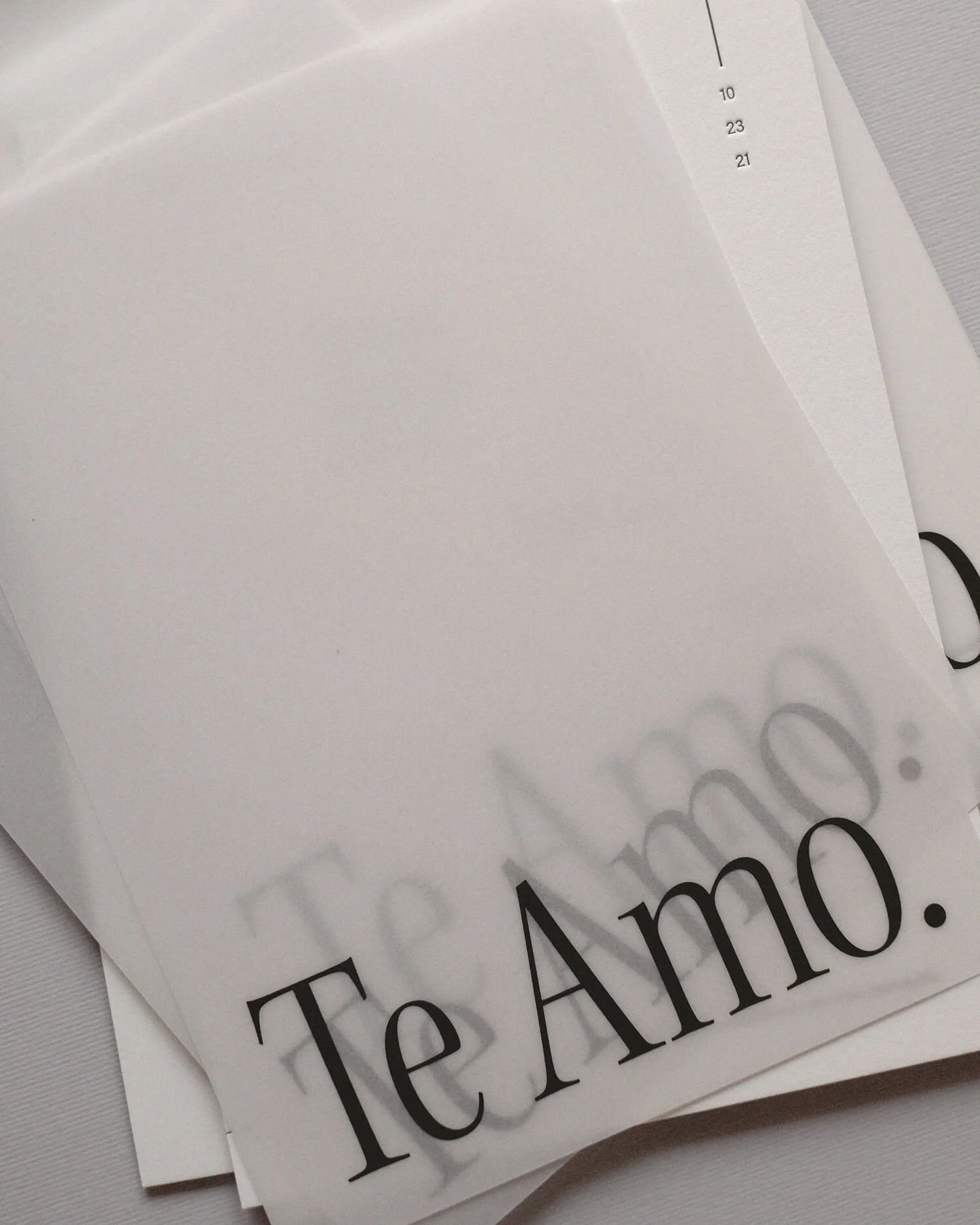 Vellum-wedding-invitation.jpg