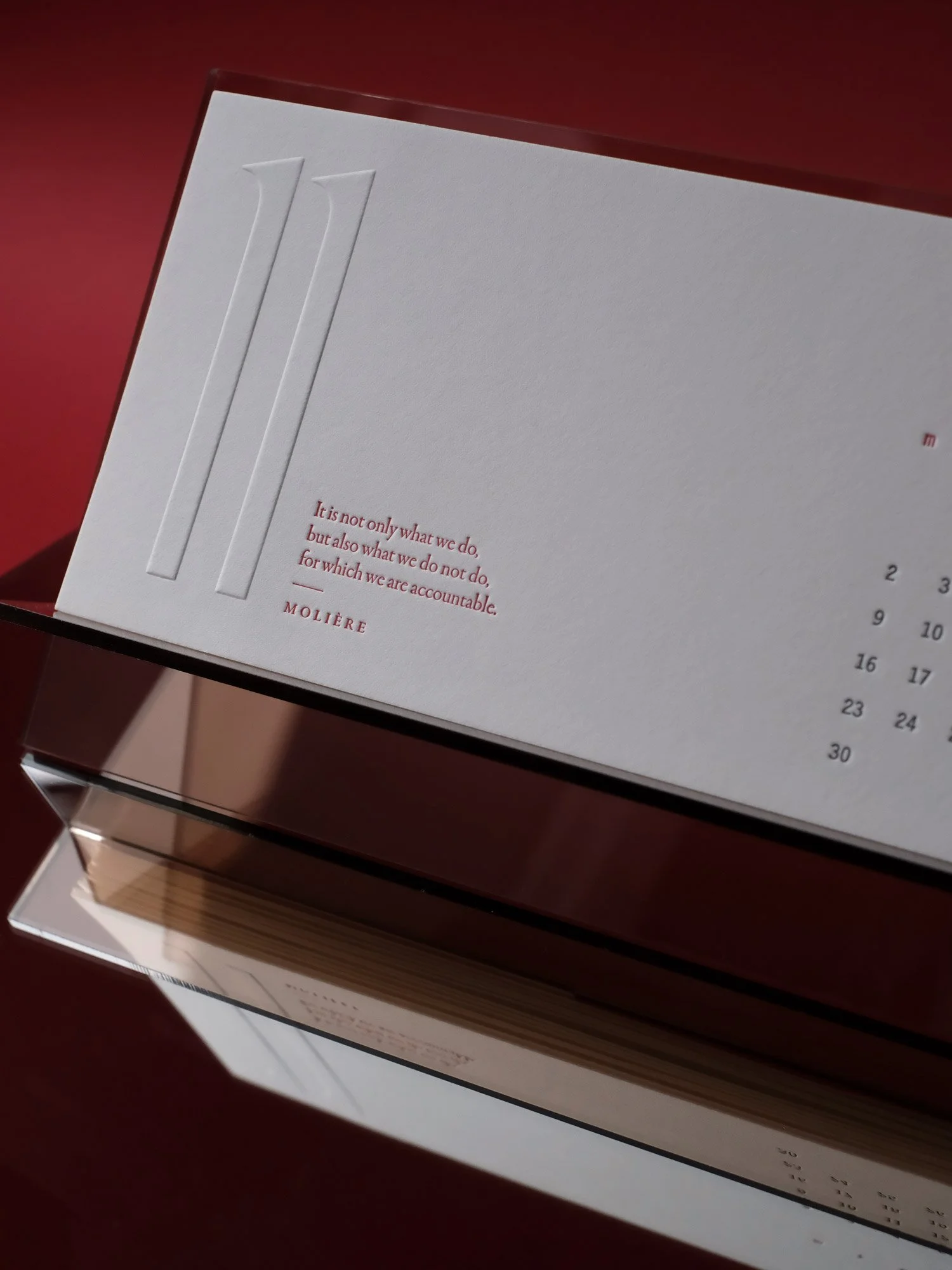 11 Nov-Portrait-02.jpg