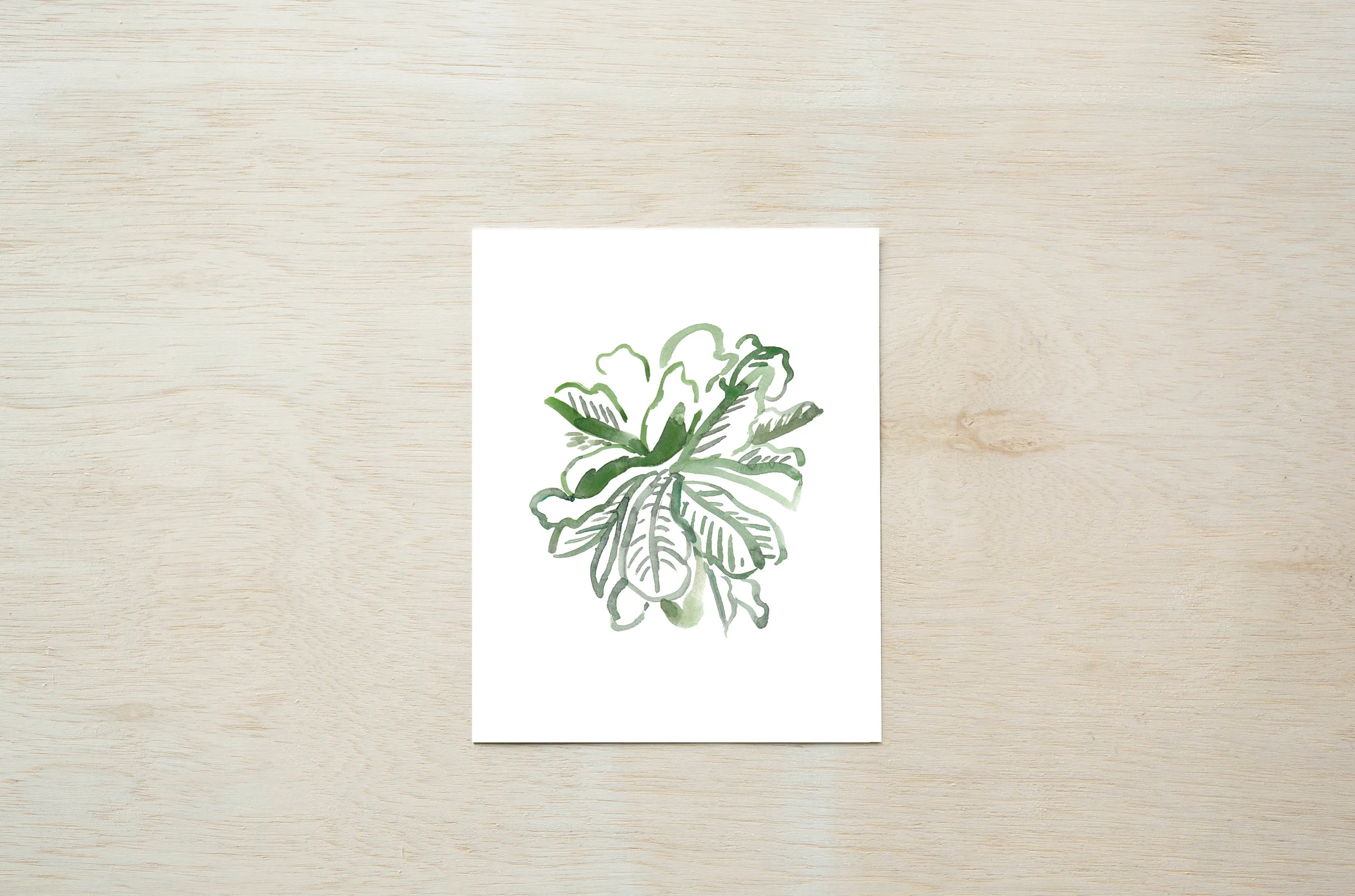 fiddle-leaf-8x10.jpg