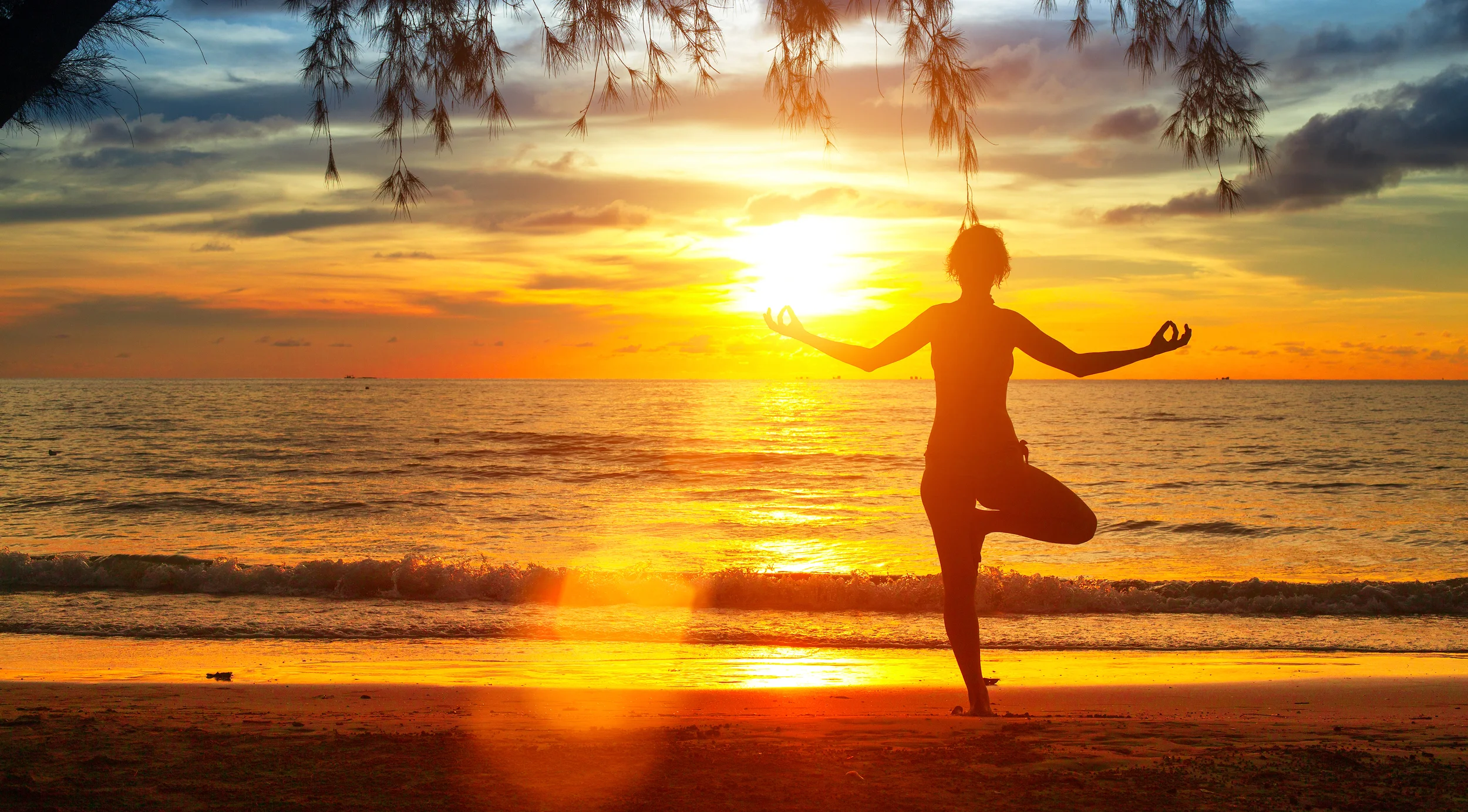Virtual Yoga - the best yoga web sites