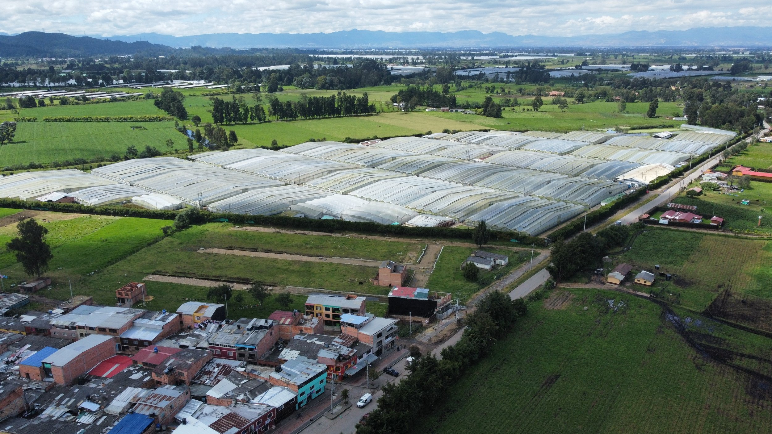 dji_fly_20220610_103400_631_1662031438437_photo_optimized.jpg