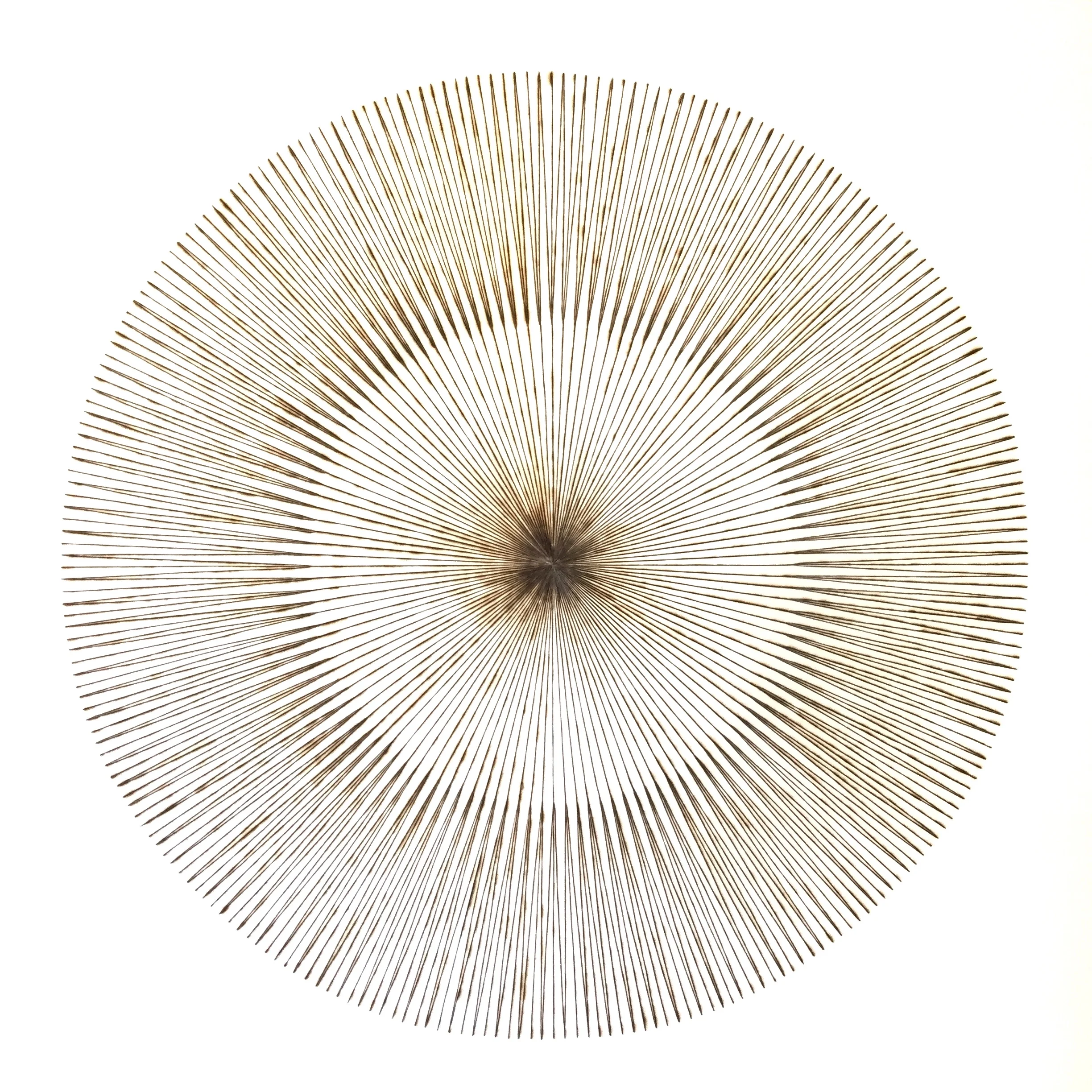 RAMIFIED WHOLENESS