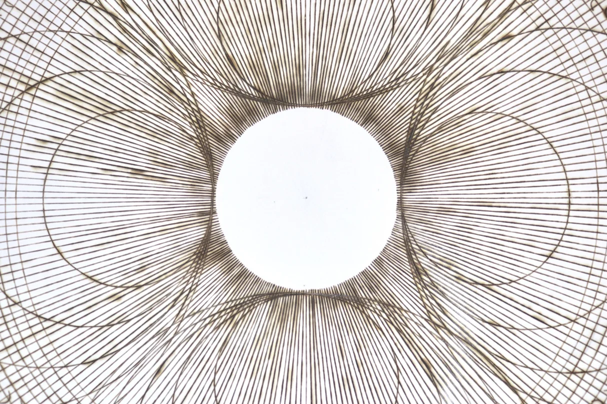 CONSCIOUS ALIGNMENT (detail)