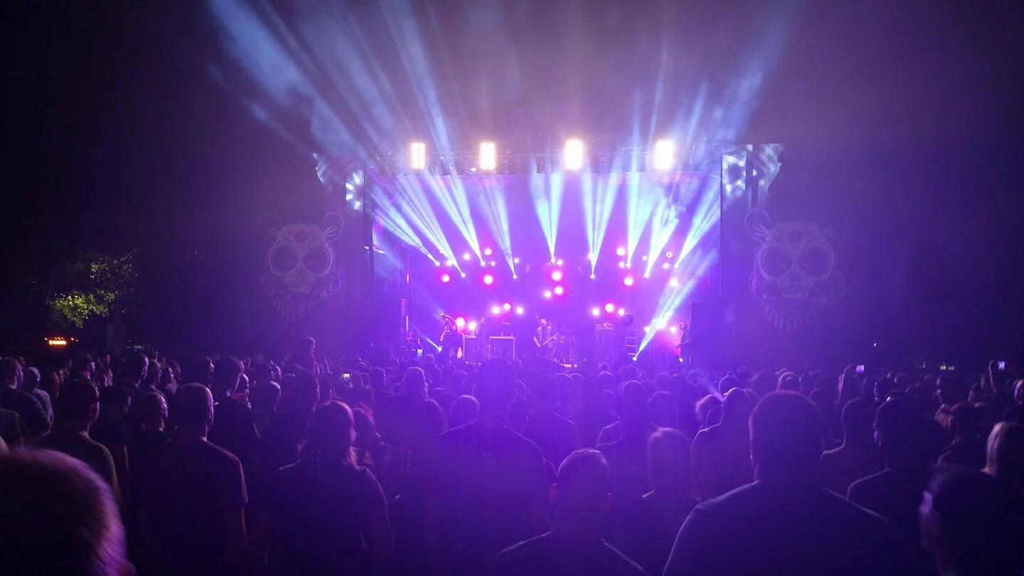 Scène vue de la foule pendant Less Than Jake