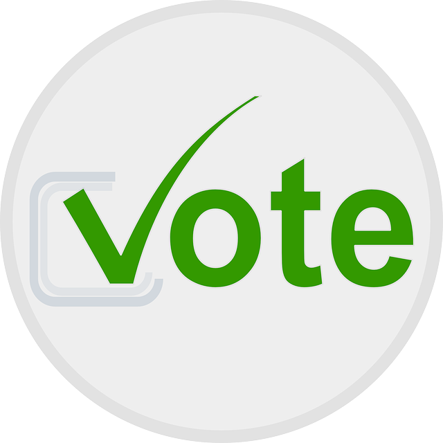 Remote voting