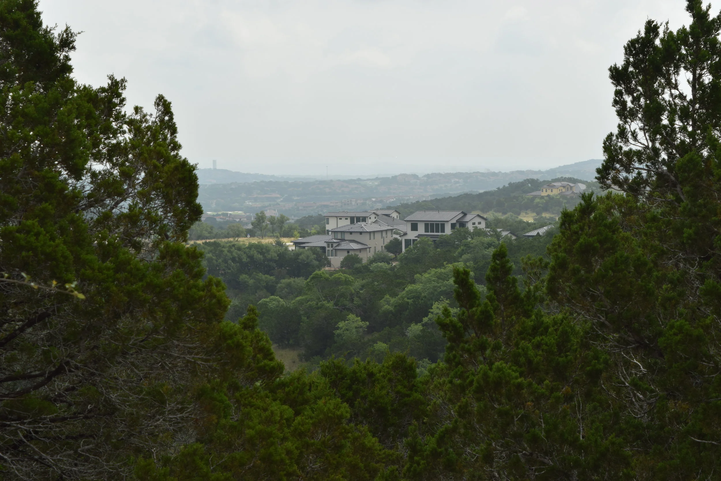 DSC_0368.JPG