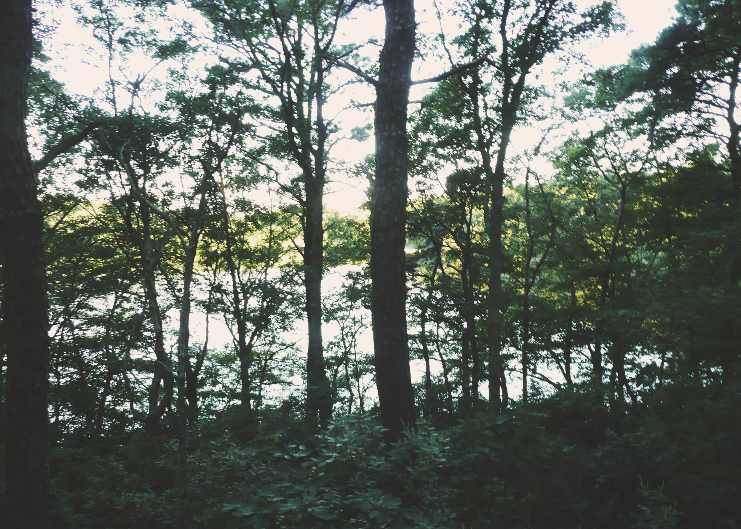 chalet_web_10 copy.jpg