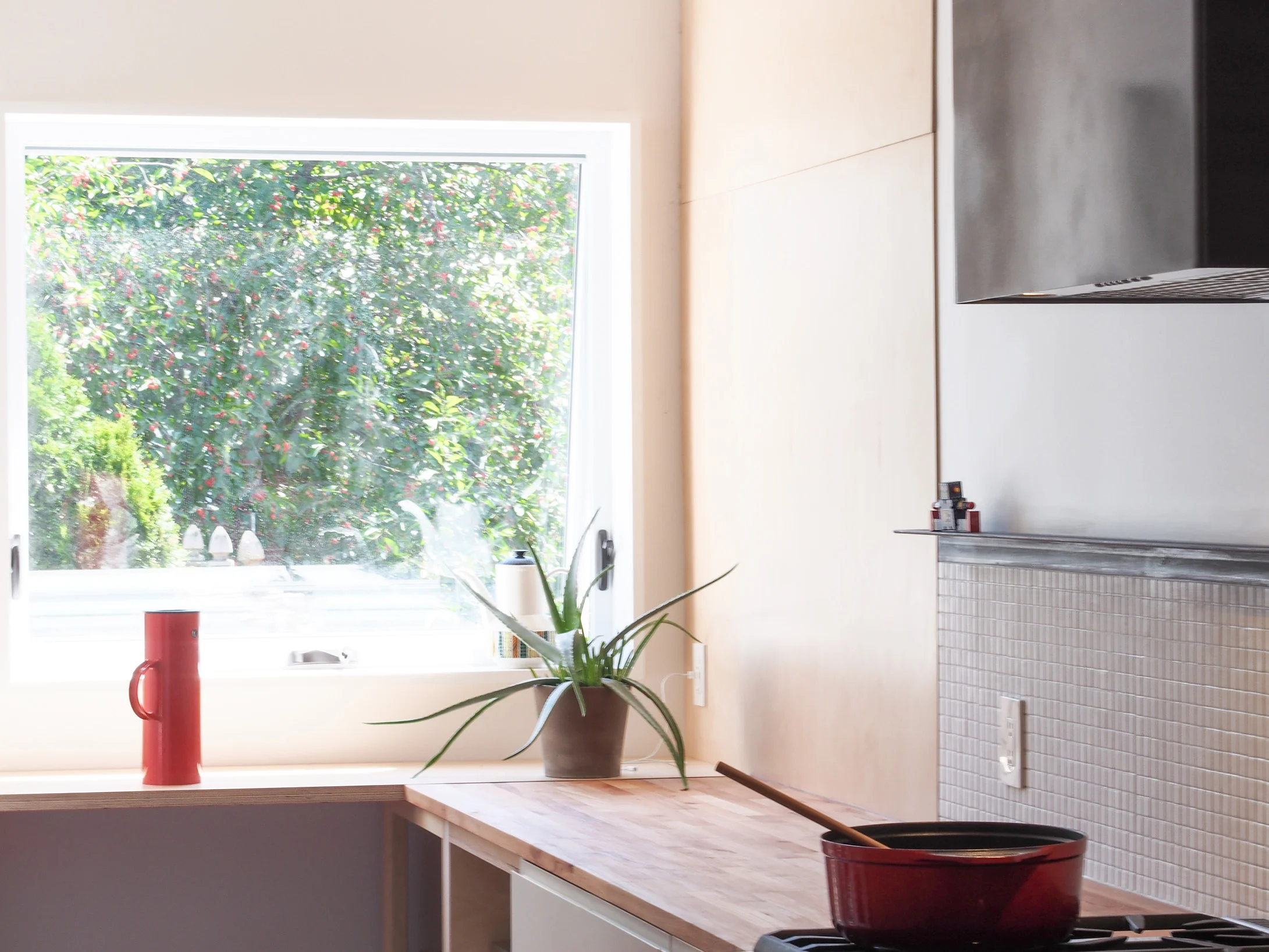 MIRADOR-TOUR (3).JPG