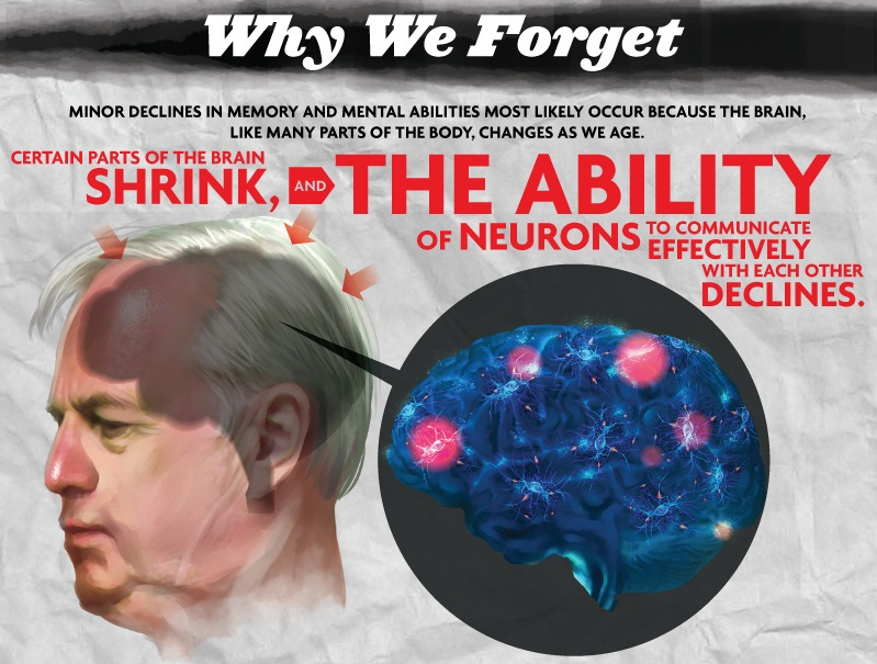Why we forget