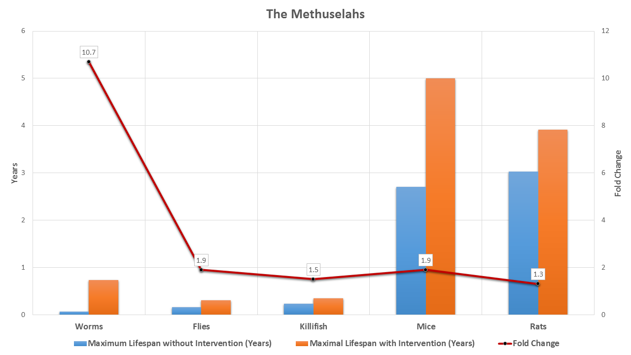 The Methuselahs - Longest Lived Organisms With And Without Interventions