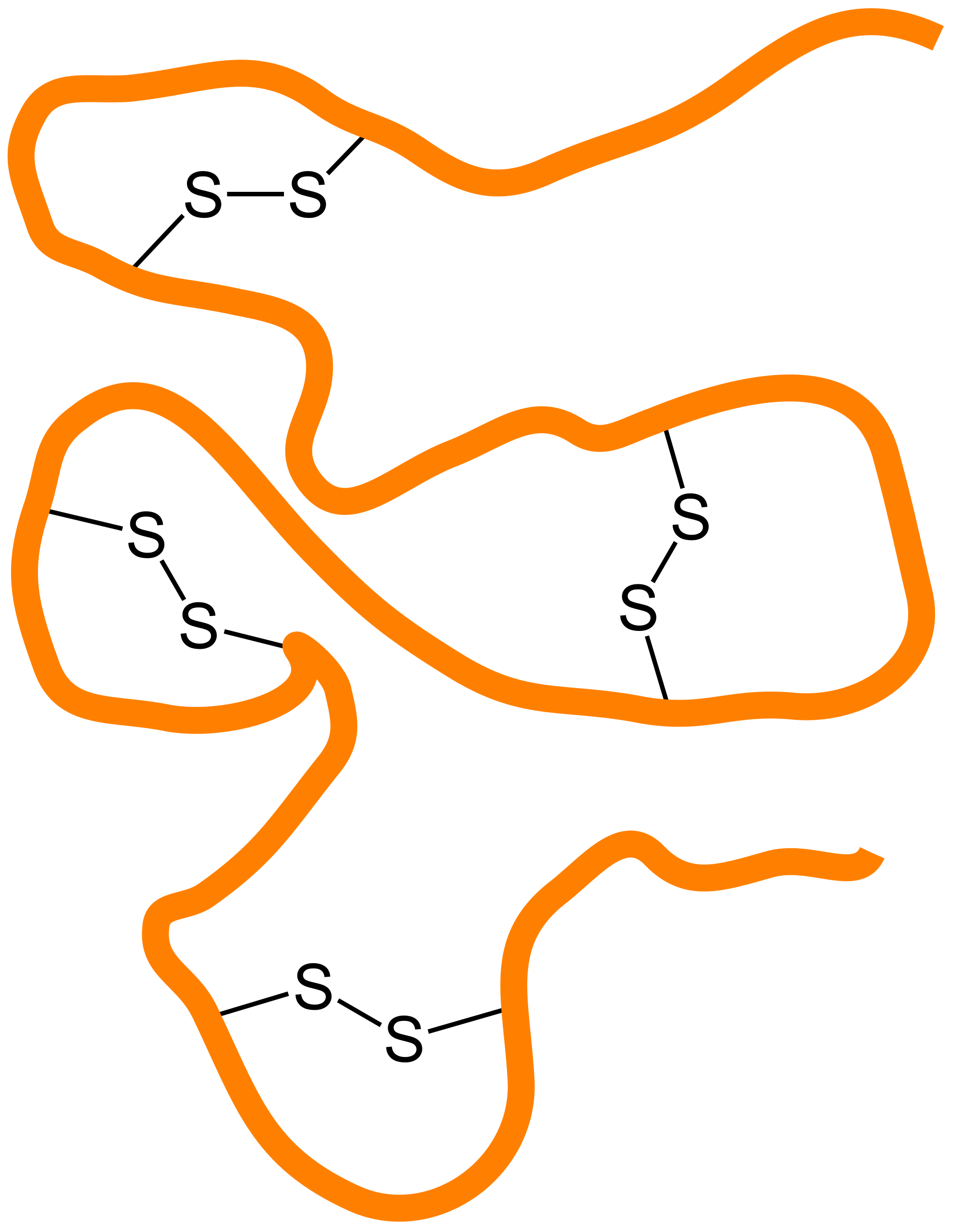 Disulphide bonds. Hair, which is rich in the protein keratin, is full of these bonds and heating hair up temporarily breaks these bridges, turning curly hair straight 