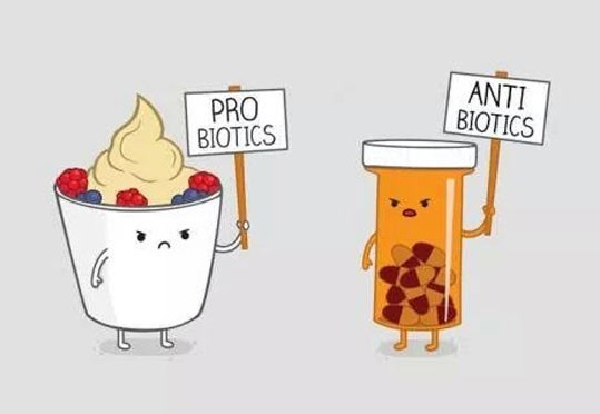 A bit of both makes more sense