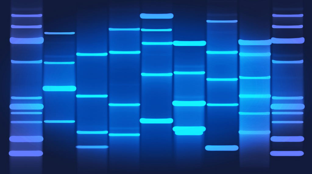 New company Helix wants to make an 'app store' for your DNA Credit: DNA Art Online