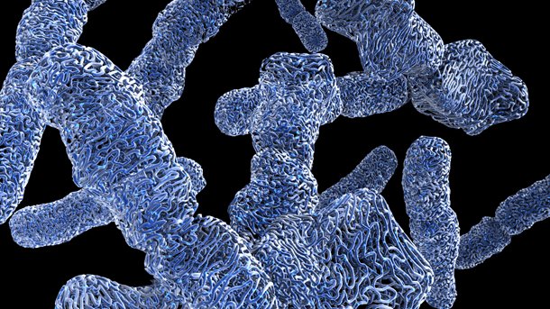 DNA is packaged and stored in complex, moving shapes 
