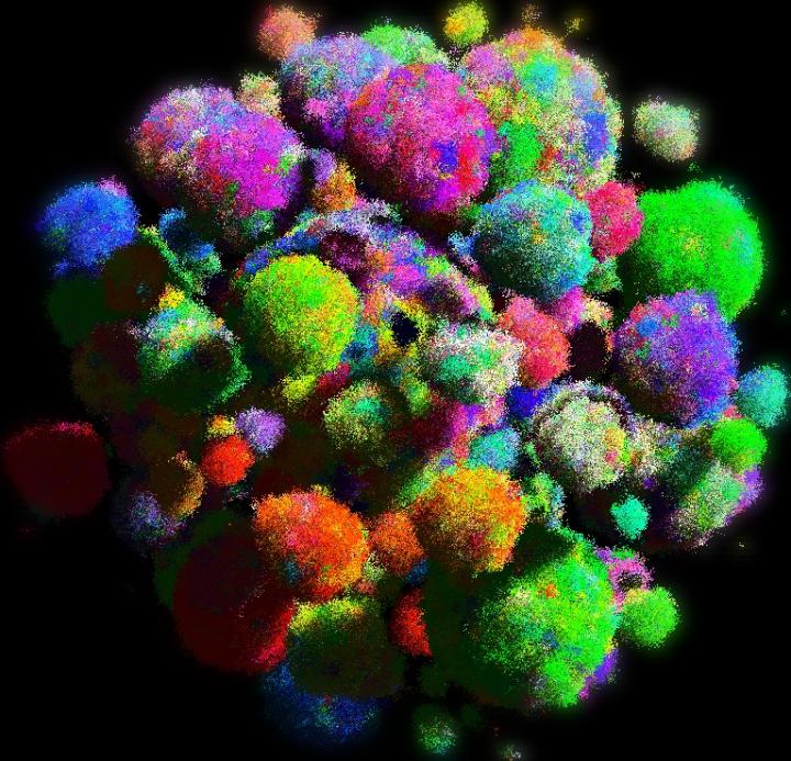 A 3-D model of a tumor showing cell types in varying colors CREDIT: Bartek Waclaw and Martin Nowak