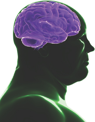  Being overweight might also stave off dementia