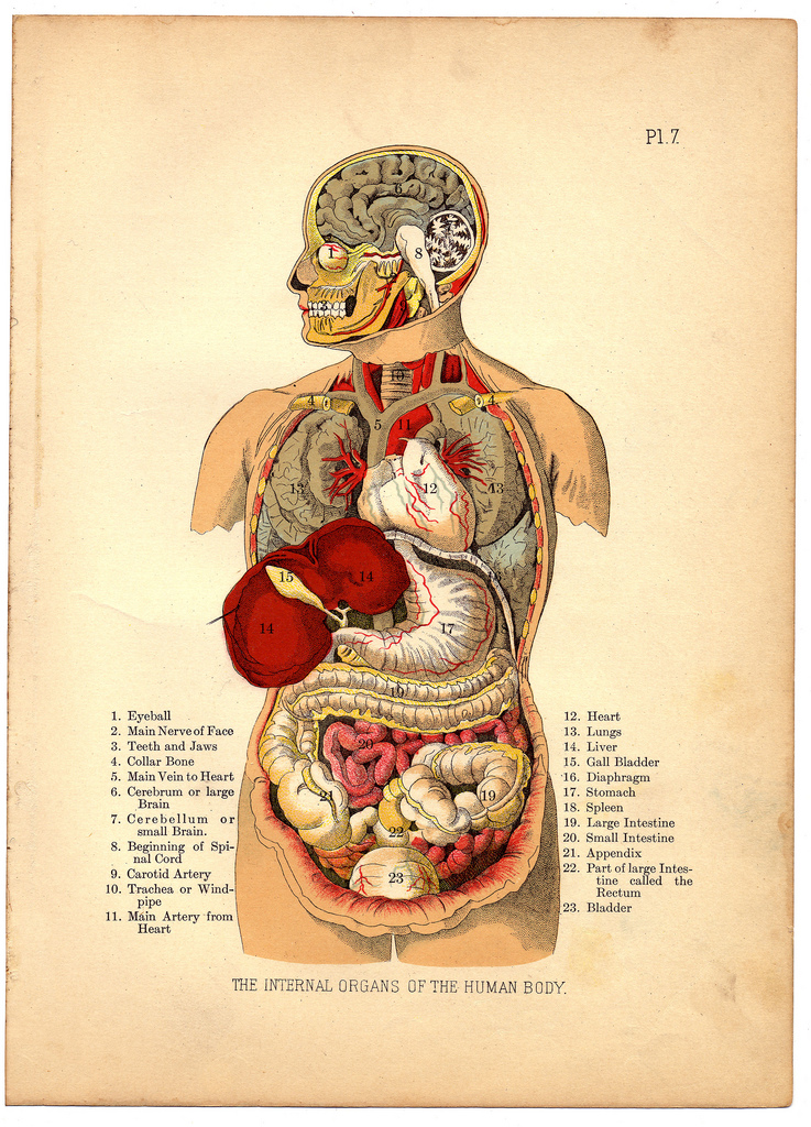 The Household Physician, 1905