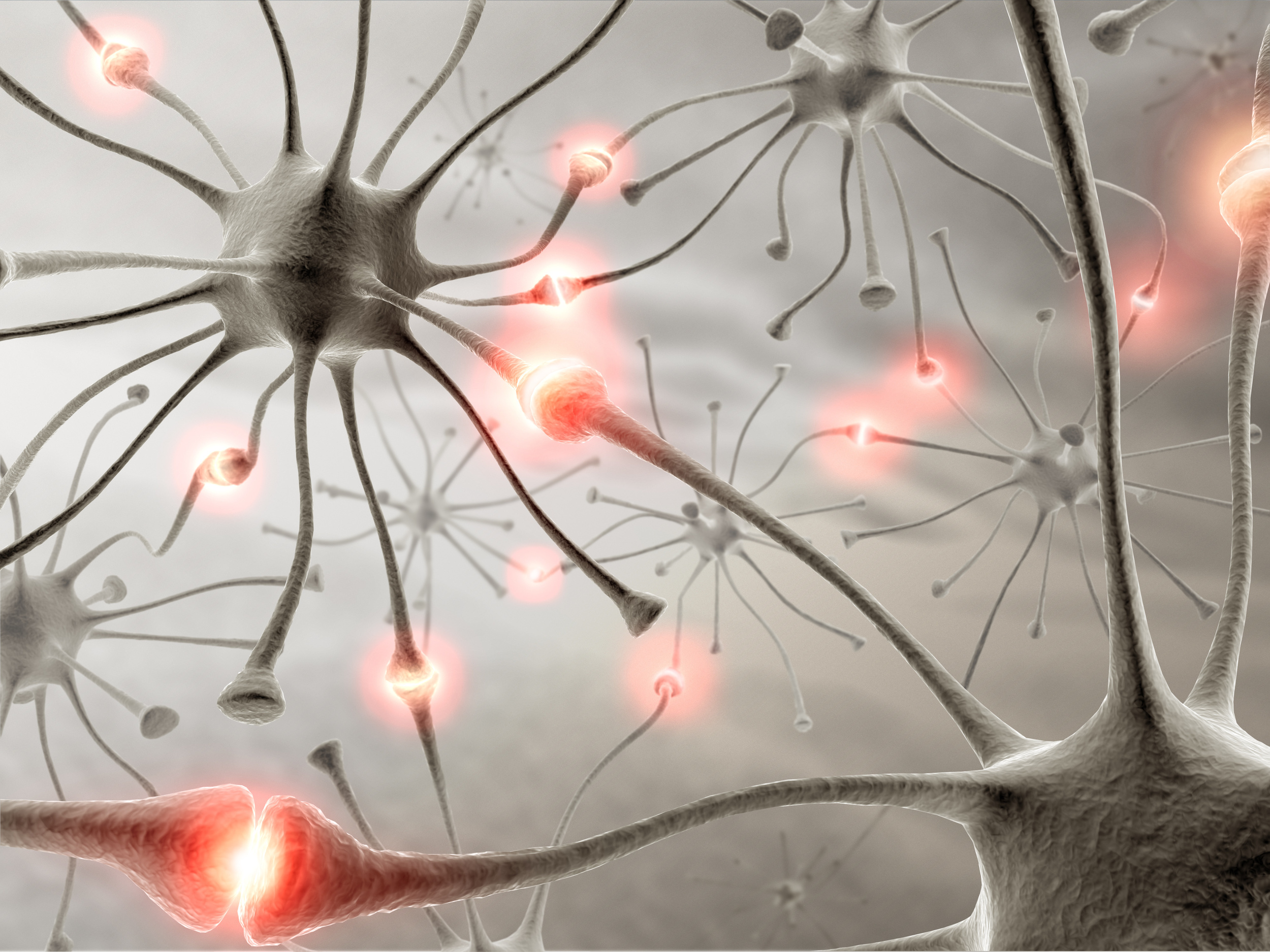 Vitamin B12 deficiency is treatable, but if ignored can cause irreversible damage 